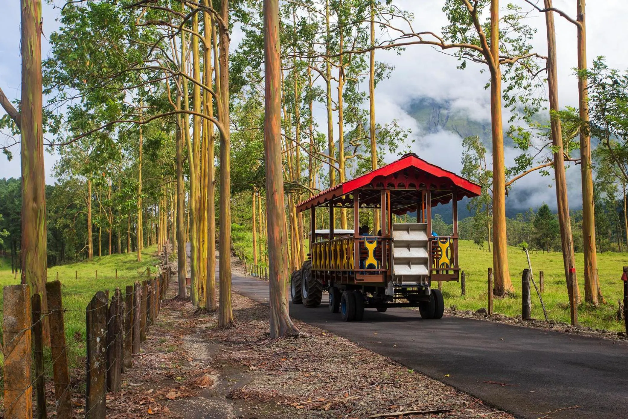 Natural landscape in Arenal Observatory Lodge & Trails