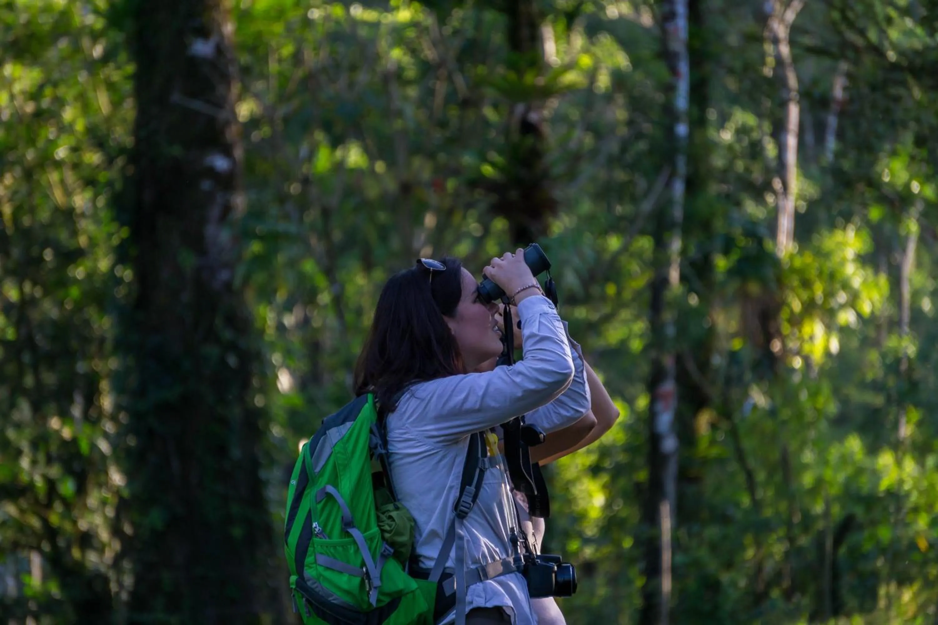 Hiking in Arenal Observatory Lodge & Trails