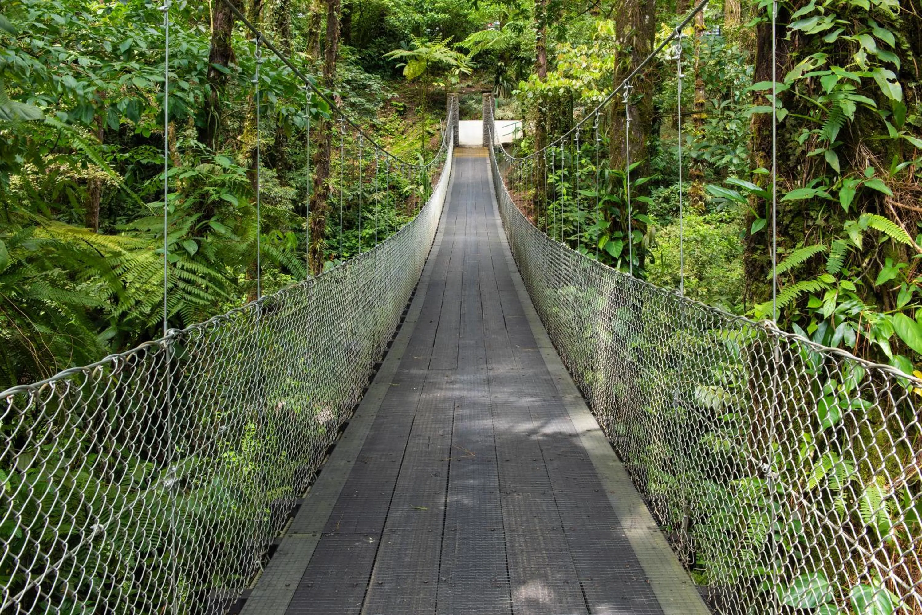 Hiking in Arenal Observatory Lodge & Trails