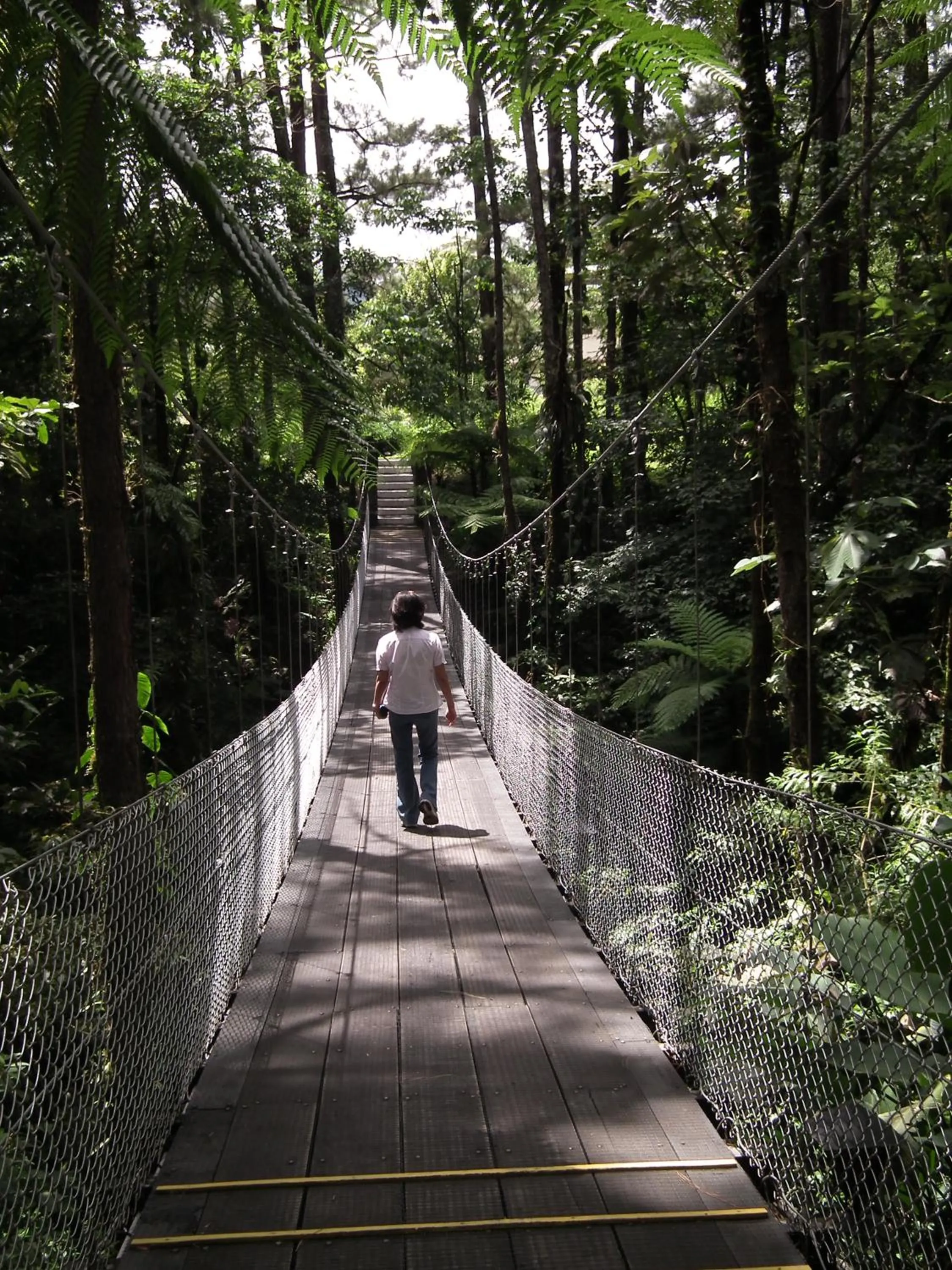 Activities in Arenal Observatory Lodge & Trails