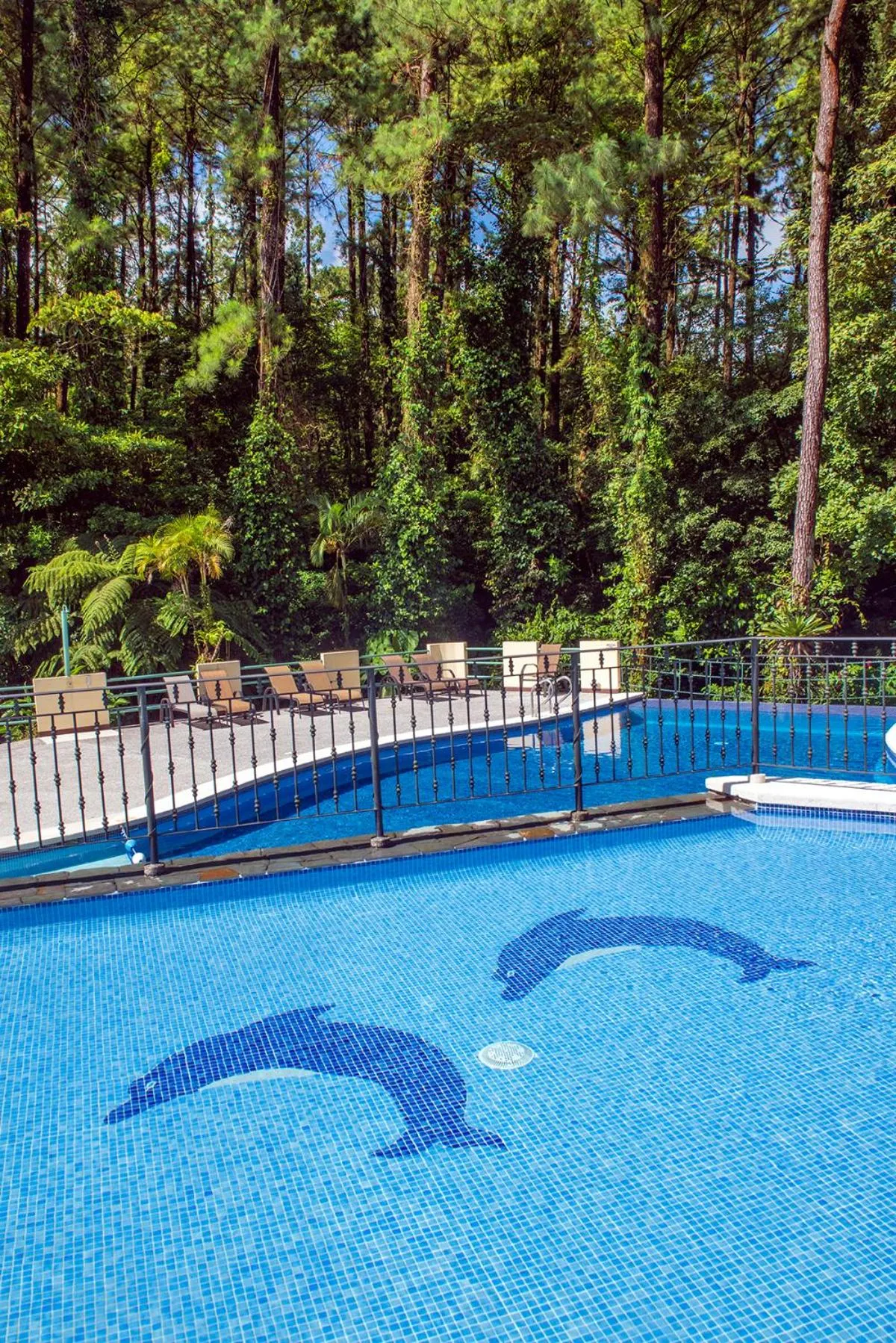 Swimming pool in Arenal Observatory Lodge & Trails