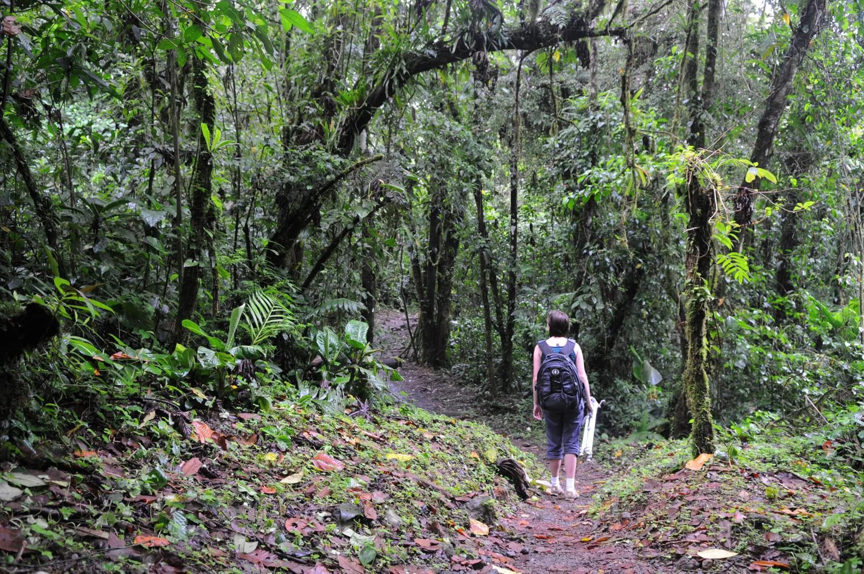 Hiking in Arenal Observatory Lodge & Trails