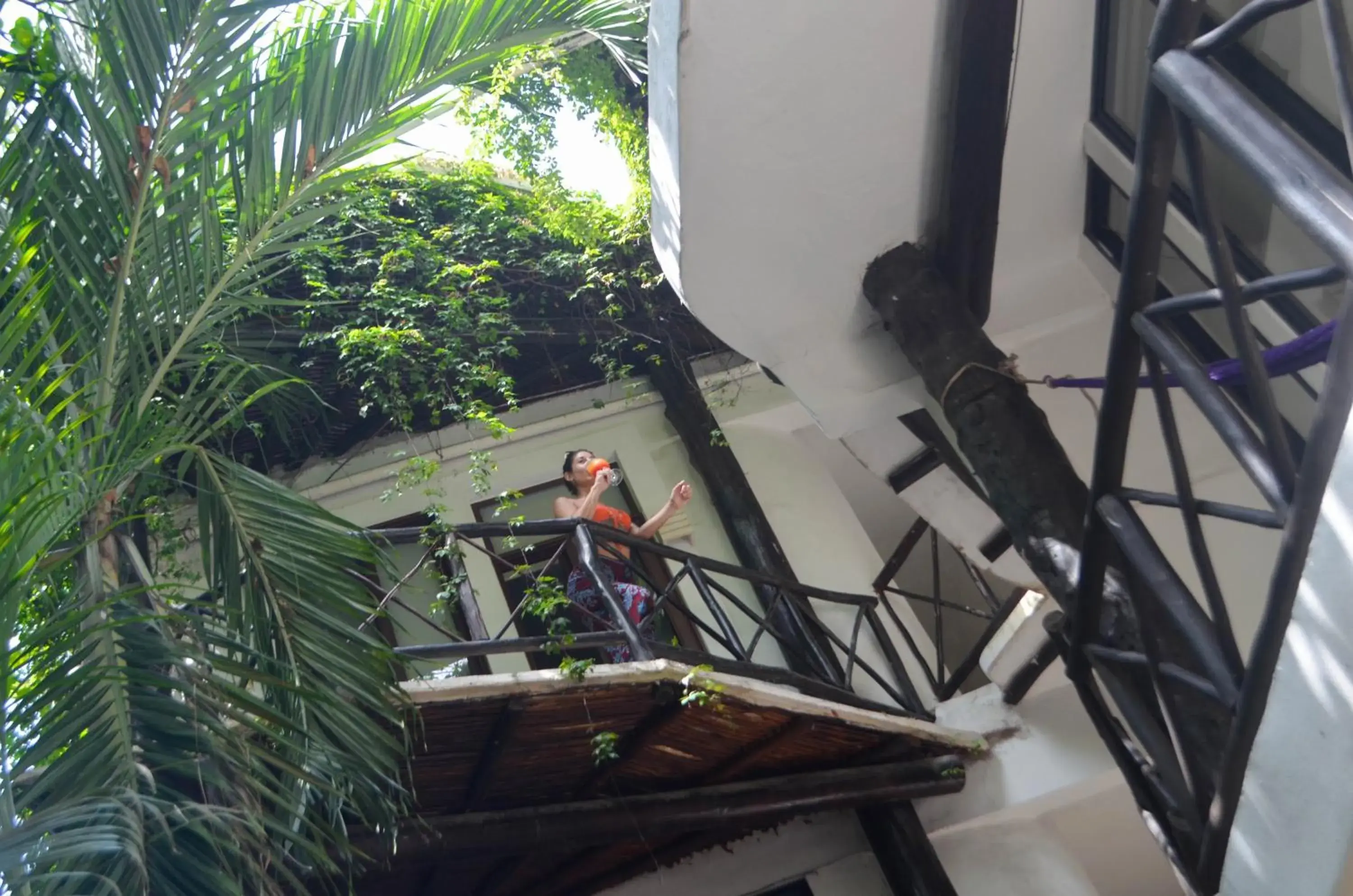 Property building in Siesta Fiesta Hotel Adults Only - 5th Avenue Property building in Siesta Fiesta Hotel Adults Only - 5th Avenue