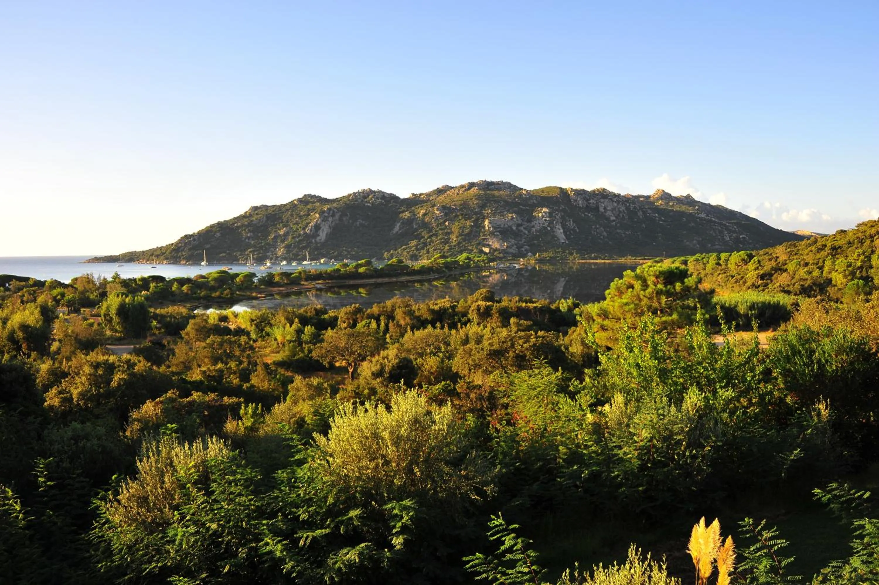 Area and facilities in Residence Castell'Verde