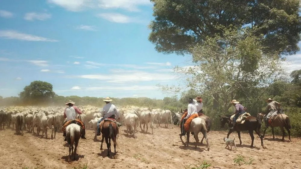Activities in Pousada Fazenda Xaraés