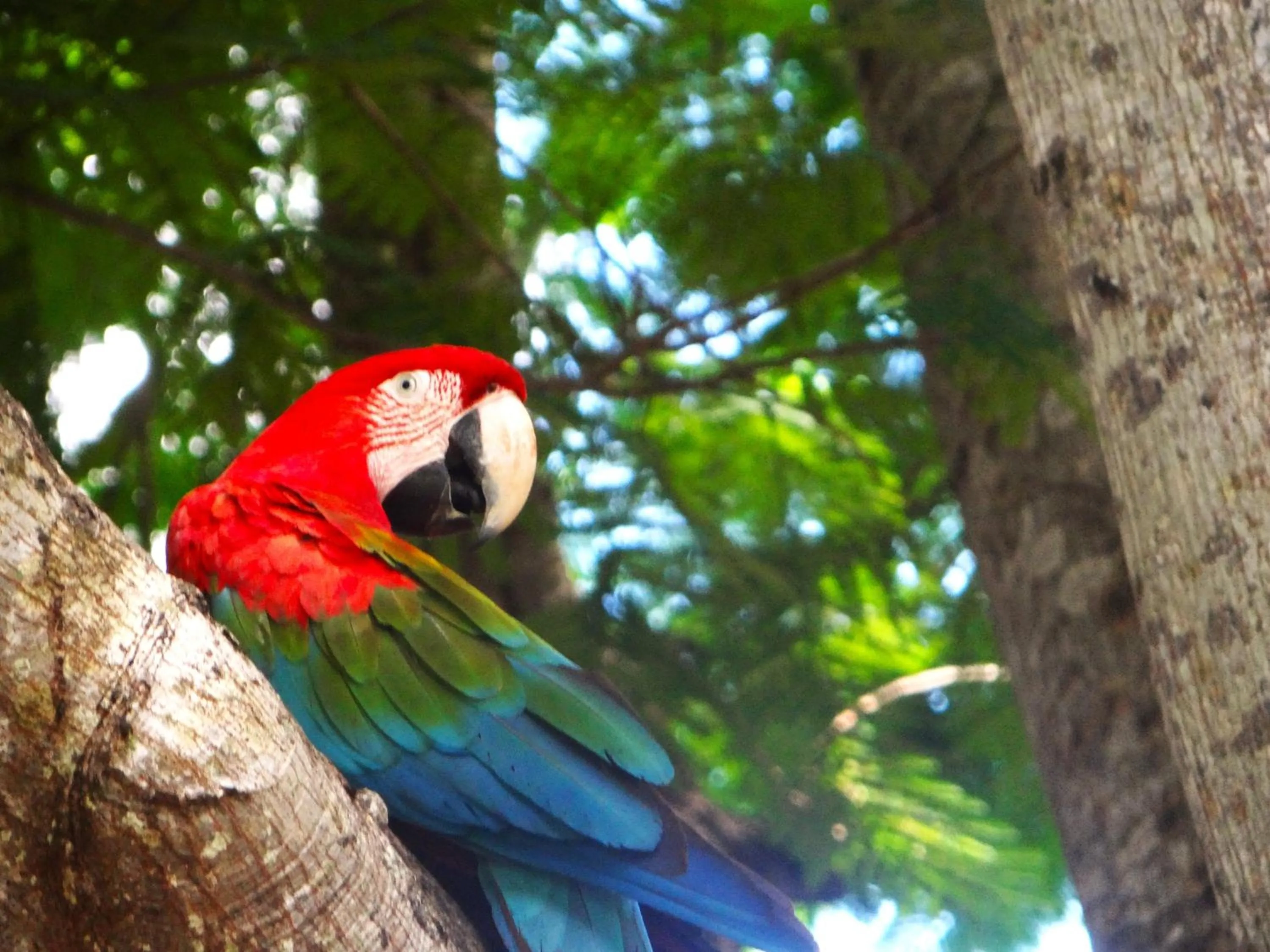 Pousada Fazenda Xaraés