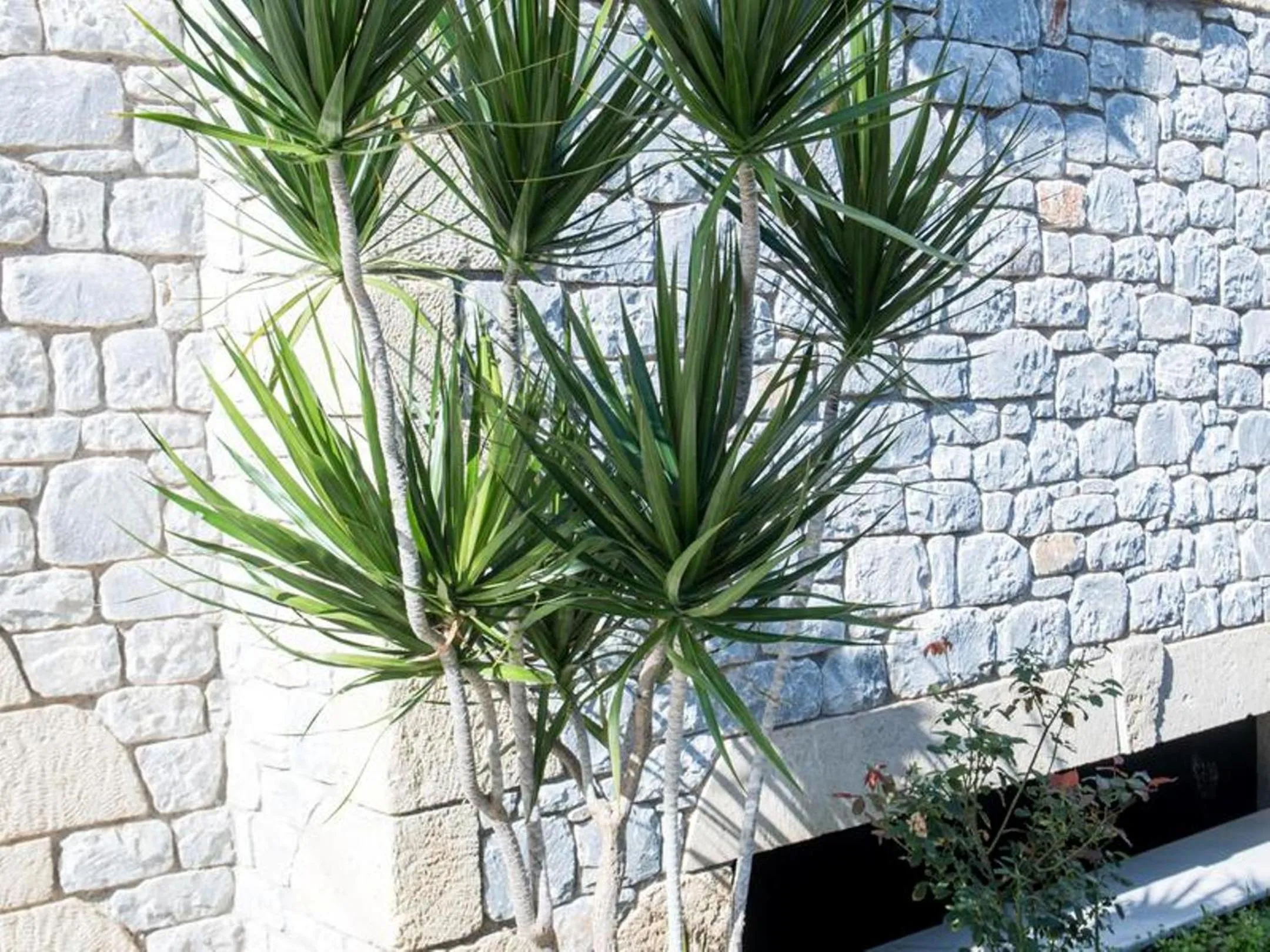 Manoleas Villas - Apartment 6