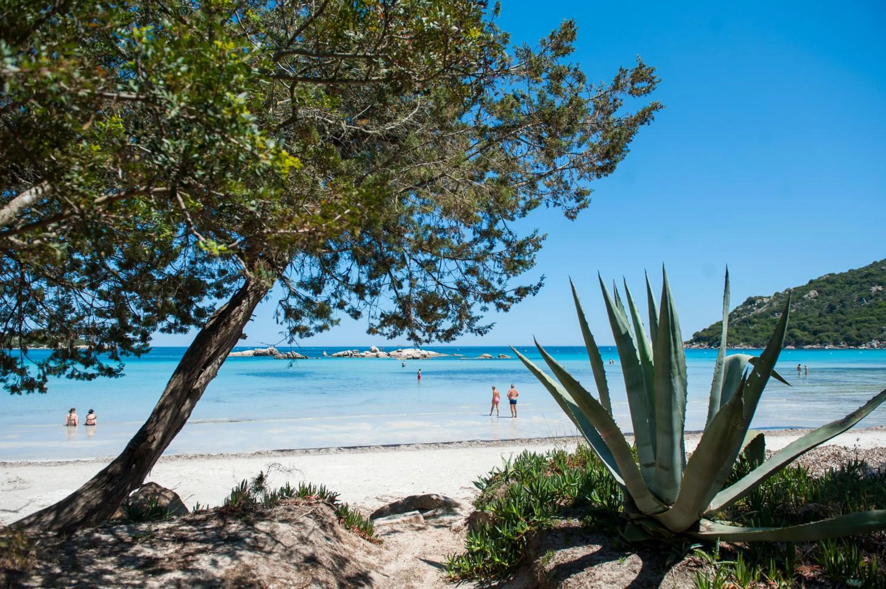 Beach in Résidence Mobydick
