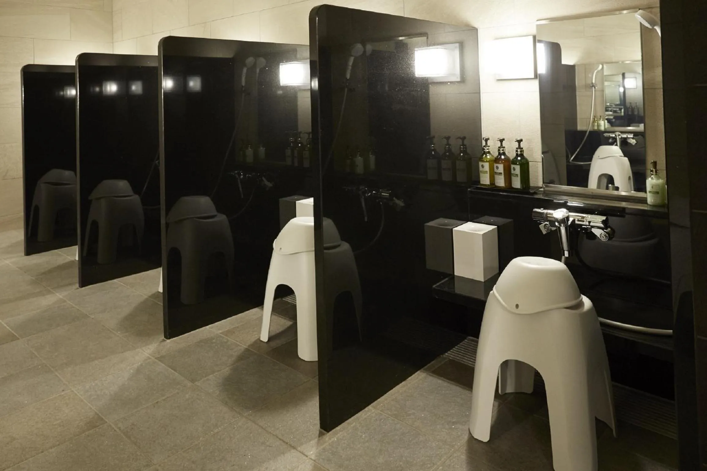 Public Bath in Odakyu Hotel de Yama