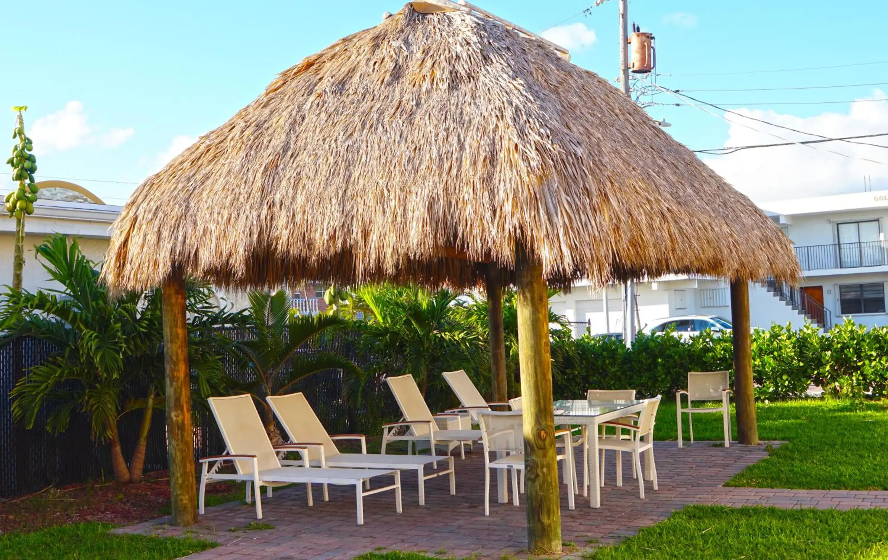 sunbed in The Flamingo sunbed in The Flamingo