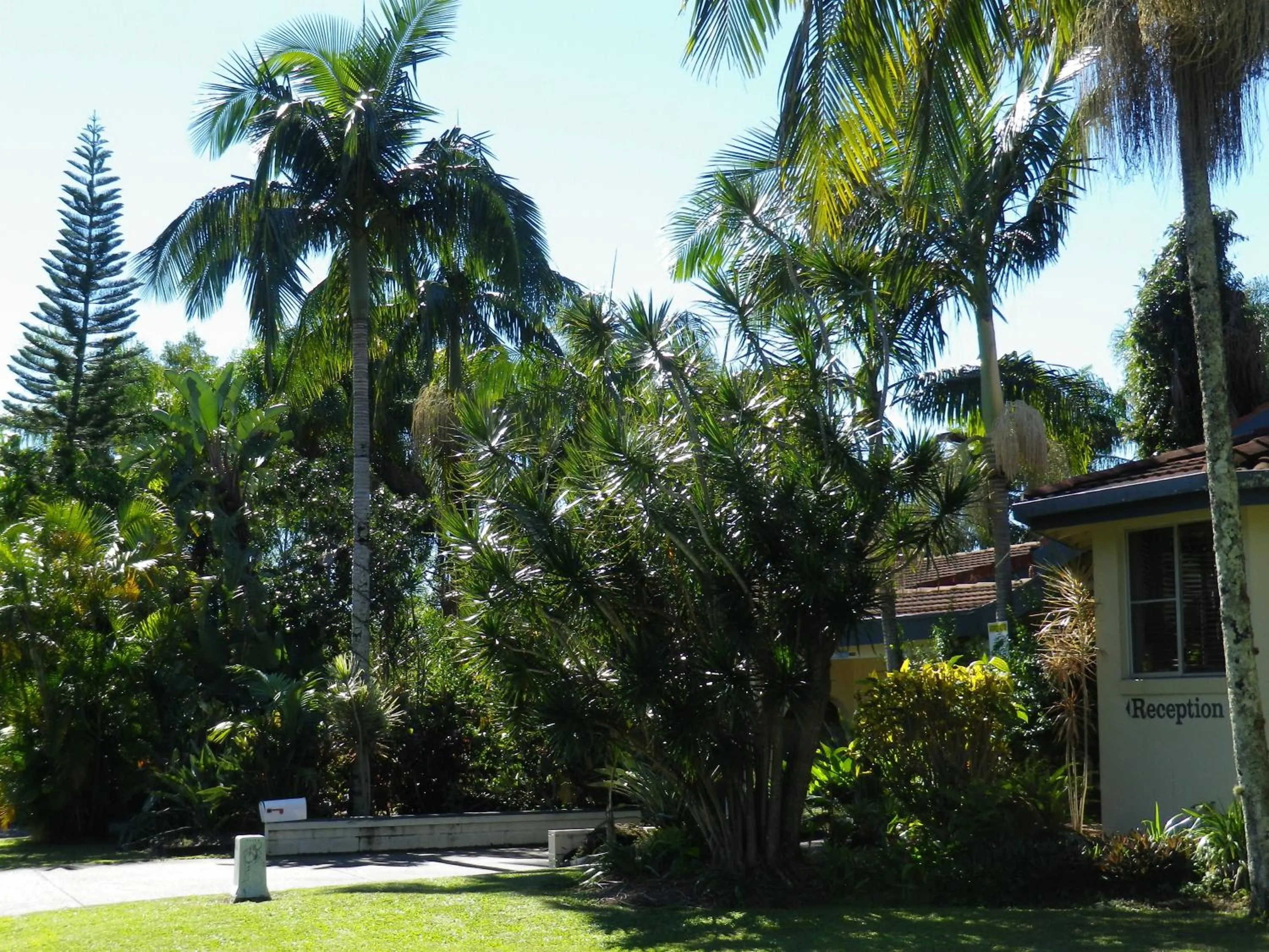 Day in Ocean Shores Motel