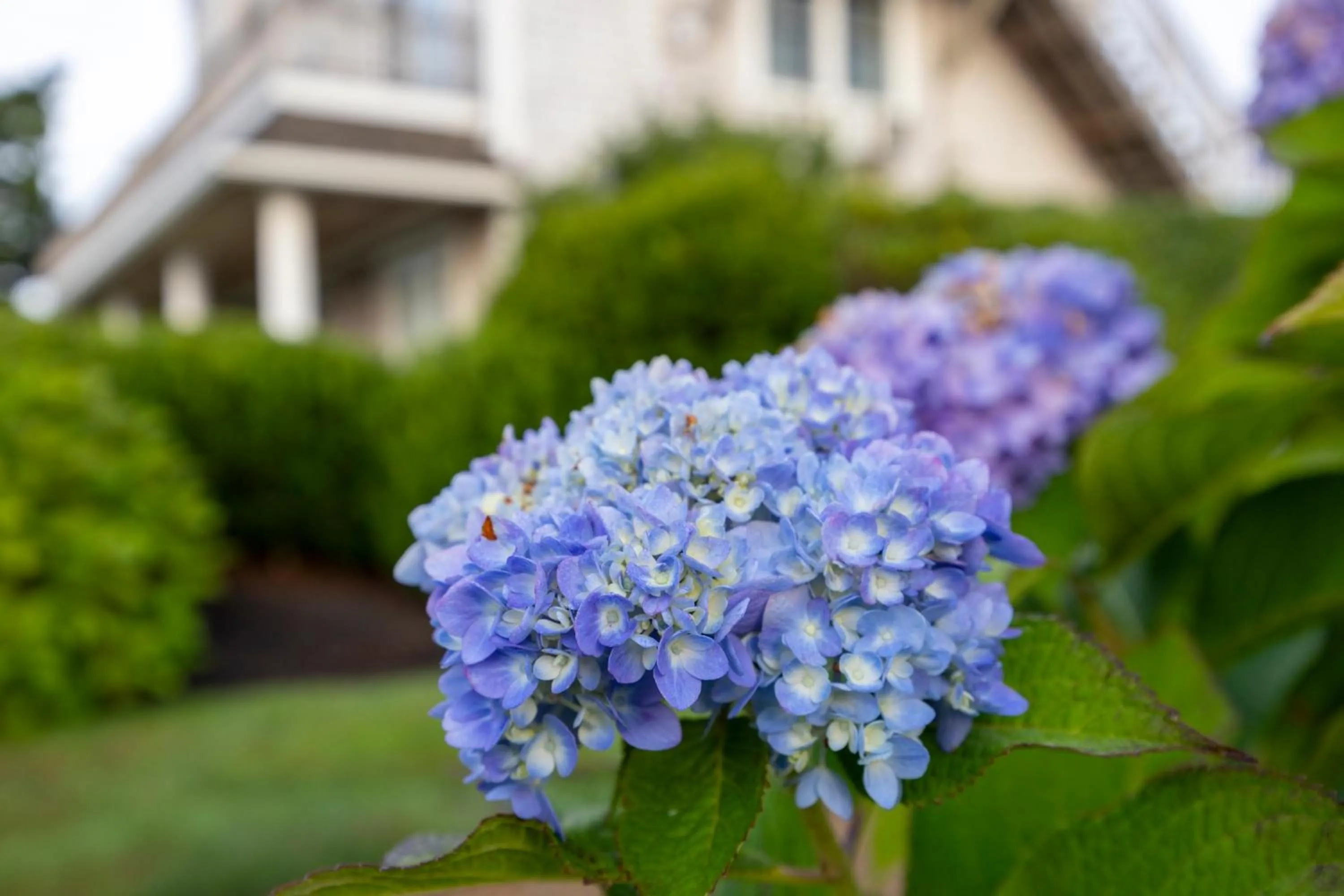 Beachside Village Resort