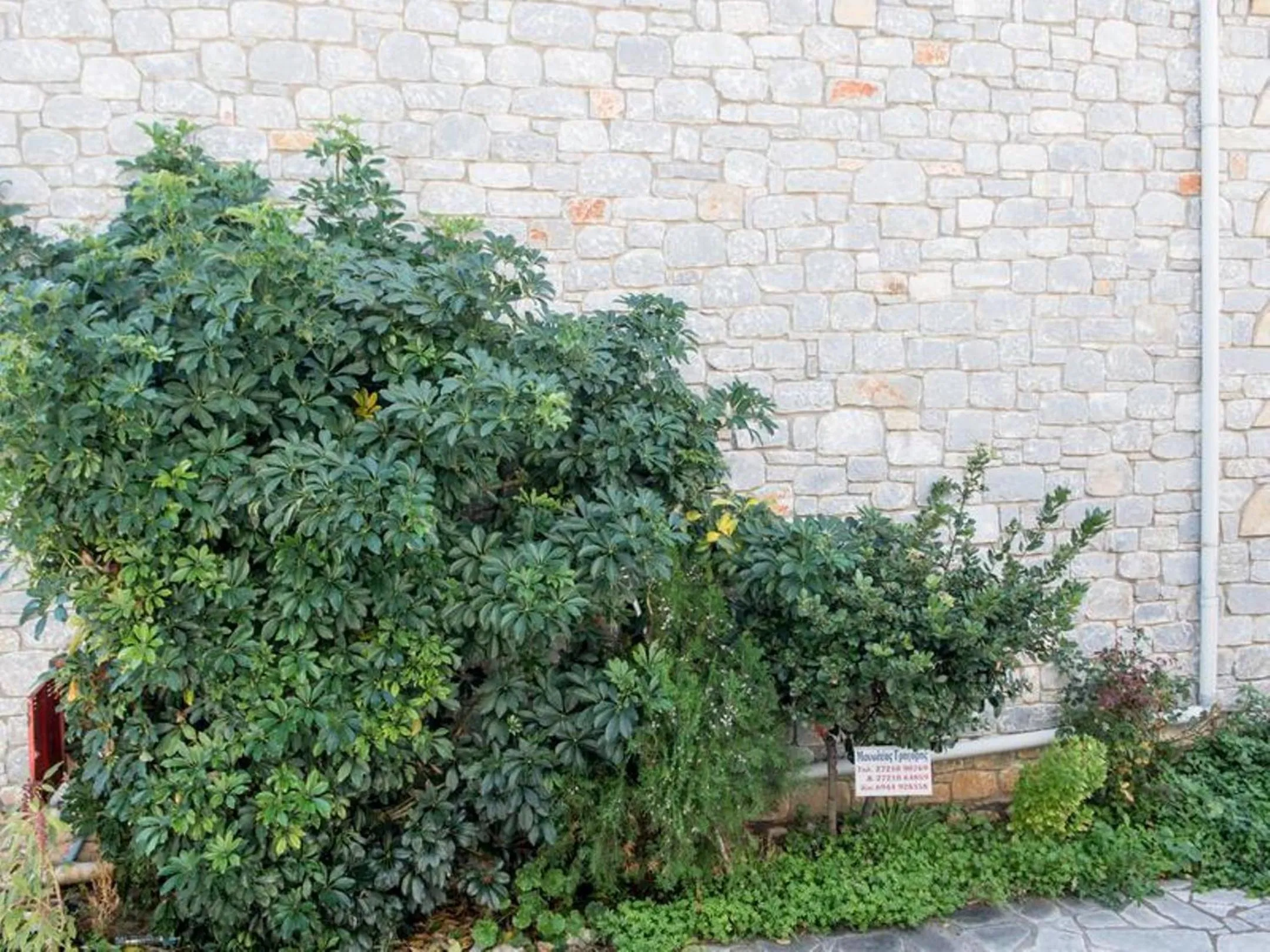 Manoleas Villas - Apartment 8