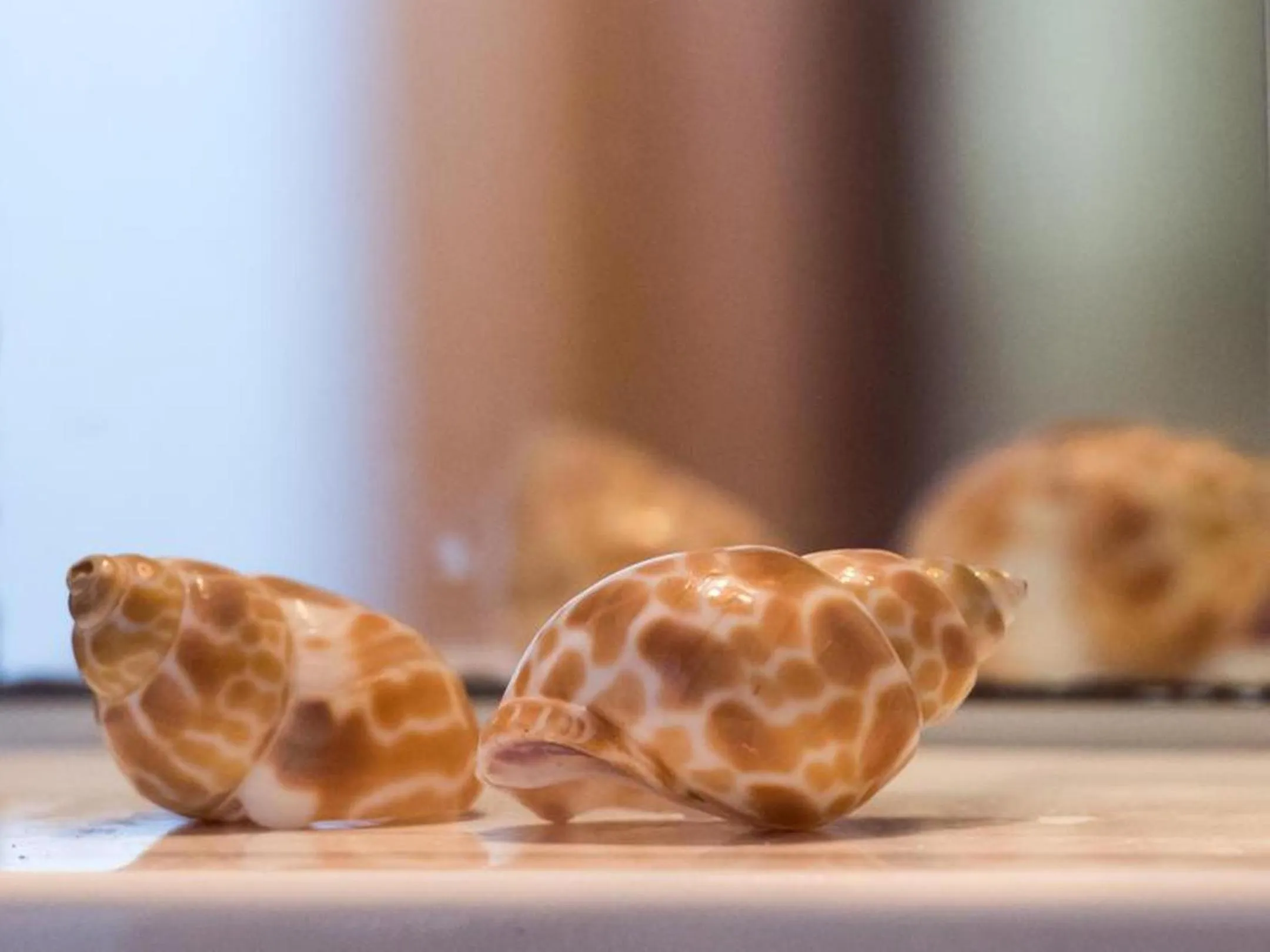 Manoleas Villas - Apartment 8