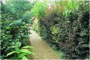 Garden in Hotel - Restaurant de la Paix