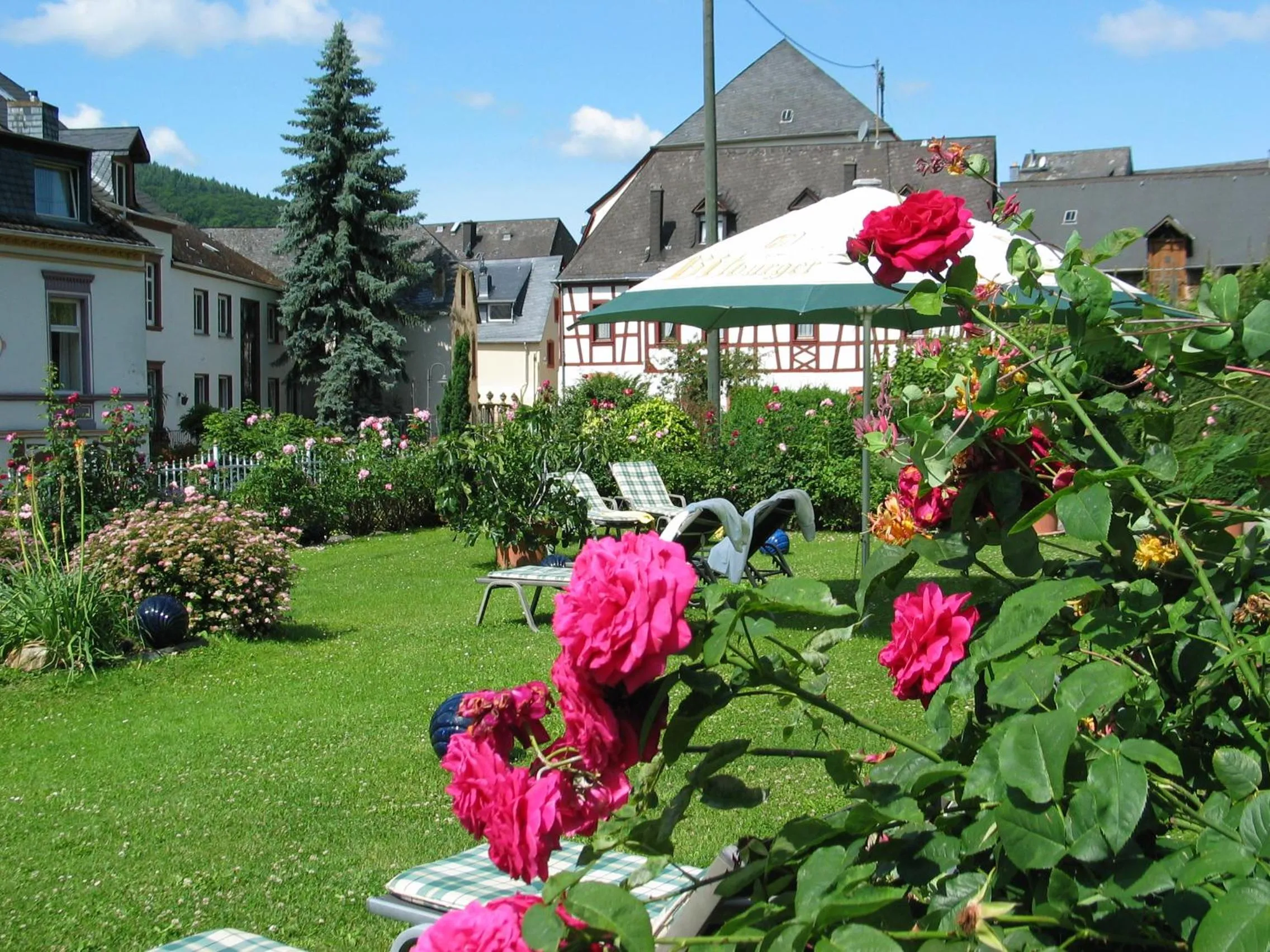 Garden in Hotel Winzerverein