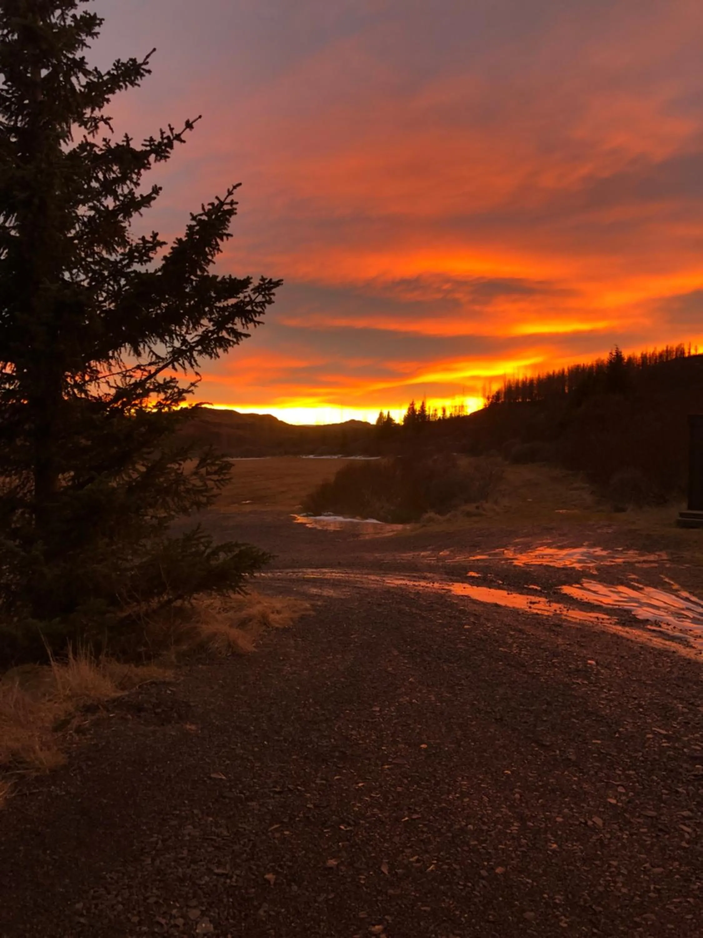 Sunset in Guesthouse Svartiskógur Egilsstaðir