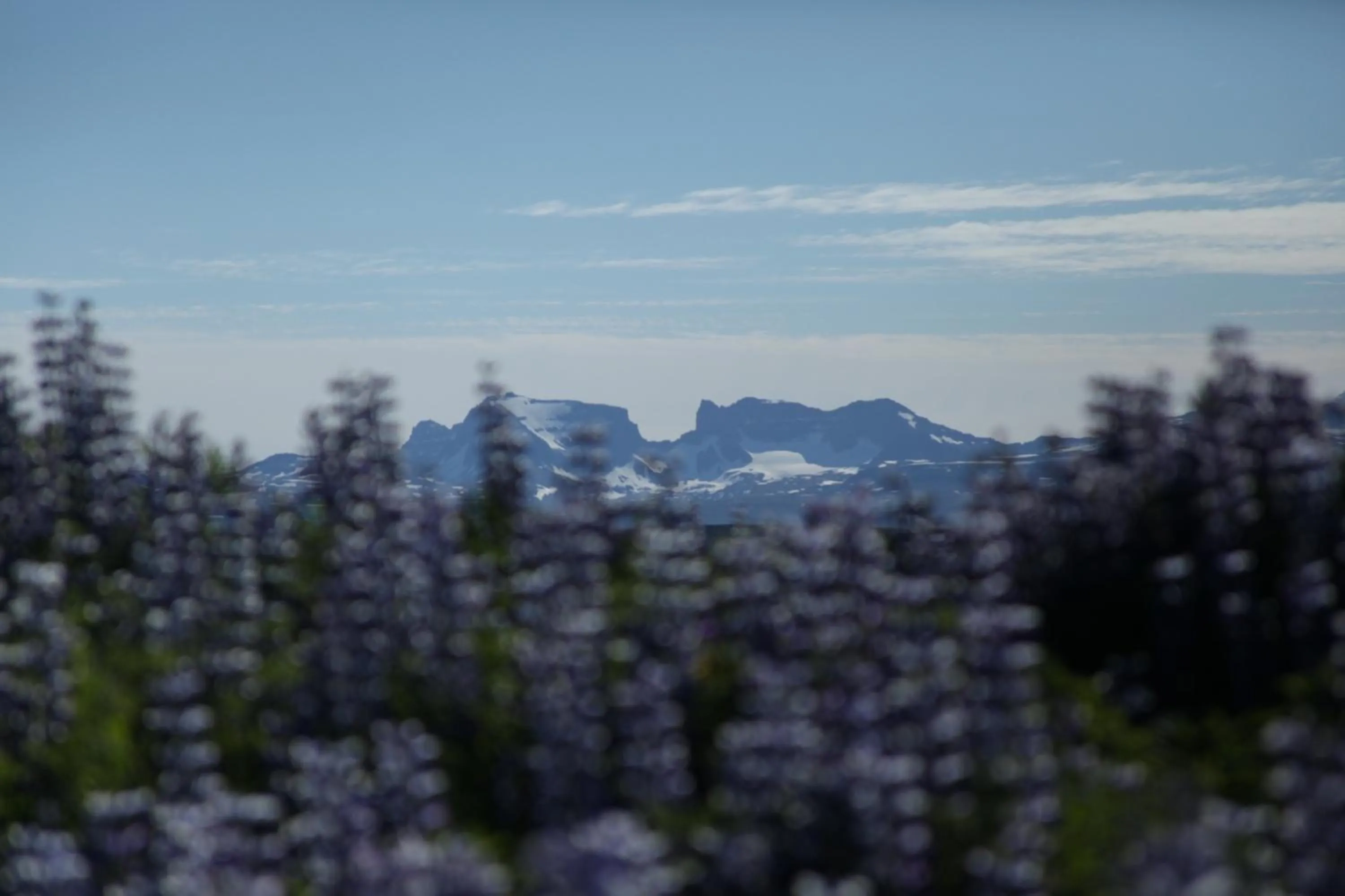 Natural landscape in Guesthouse Svartiskógur Egilsstaðir