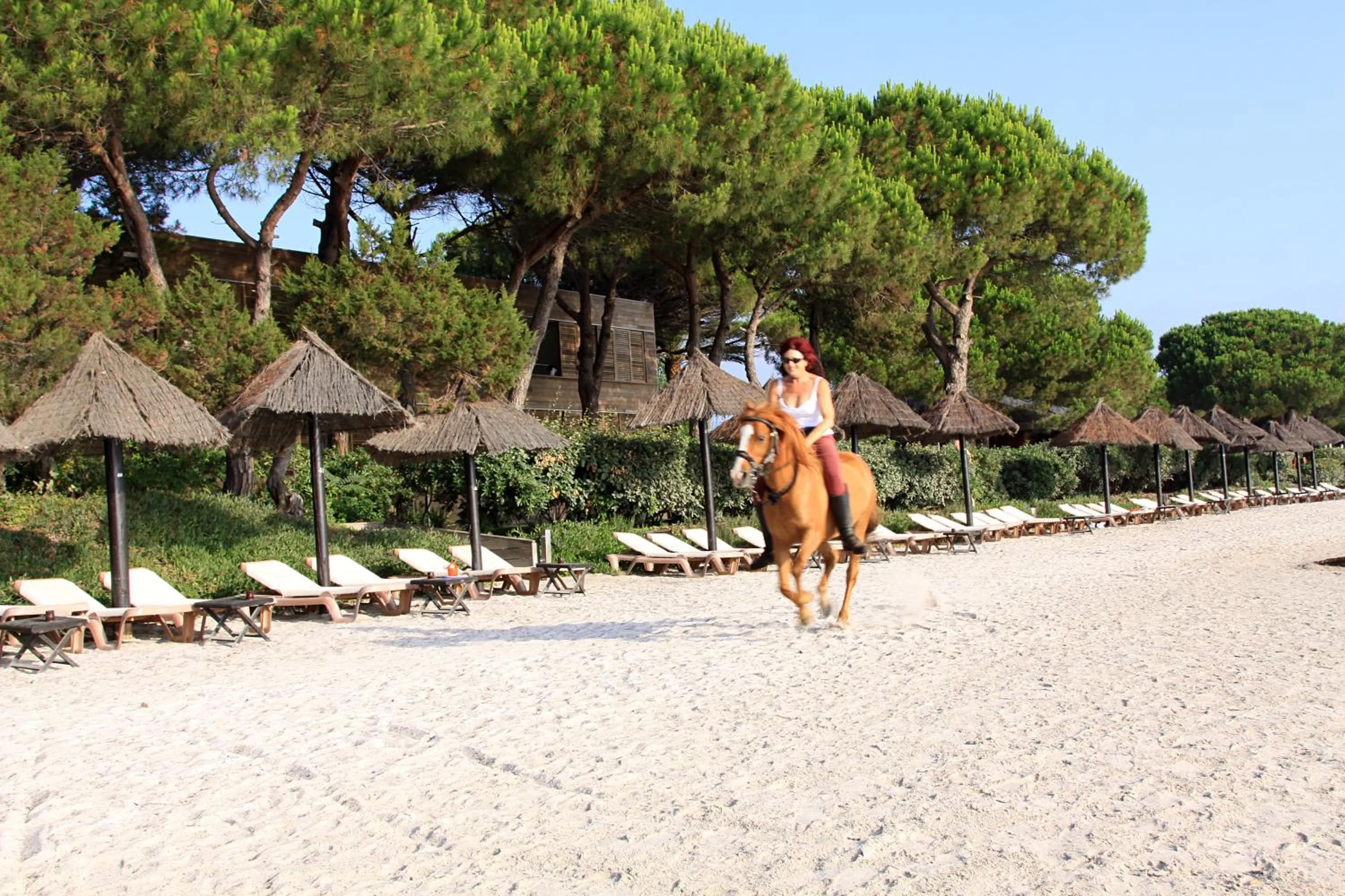 Horse-riding in Hôtel & Lodges Moby Dick