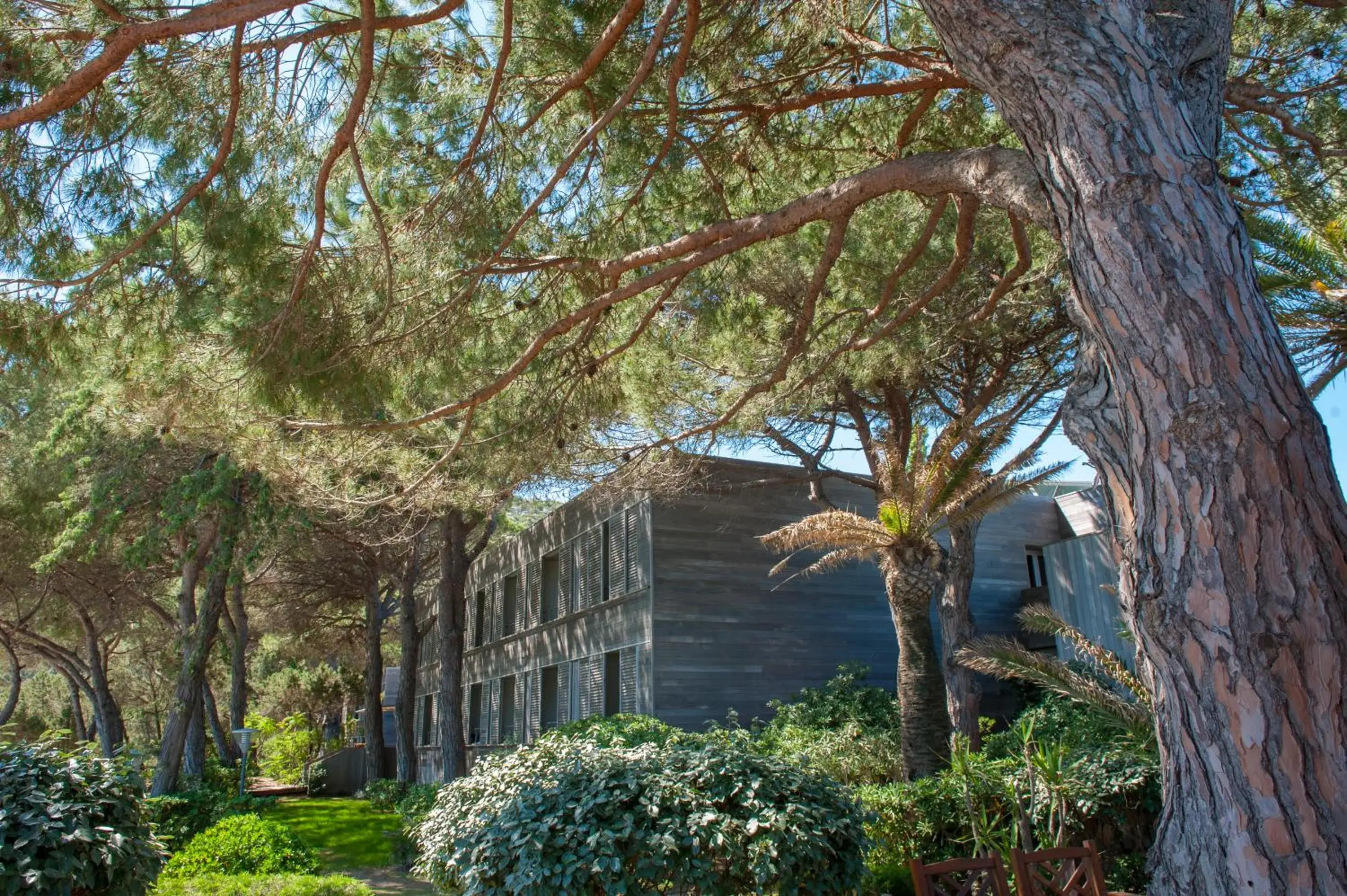 Facade/entrance in Hôtel & Lodges Moby Dick Facade/entrance in Hôtel & Lodges Moby Dick