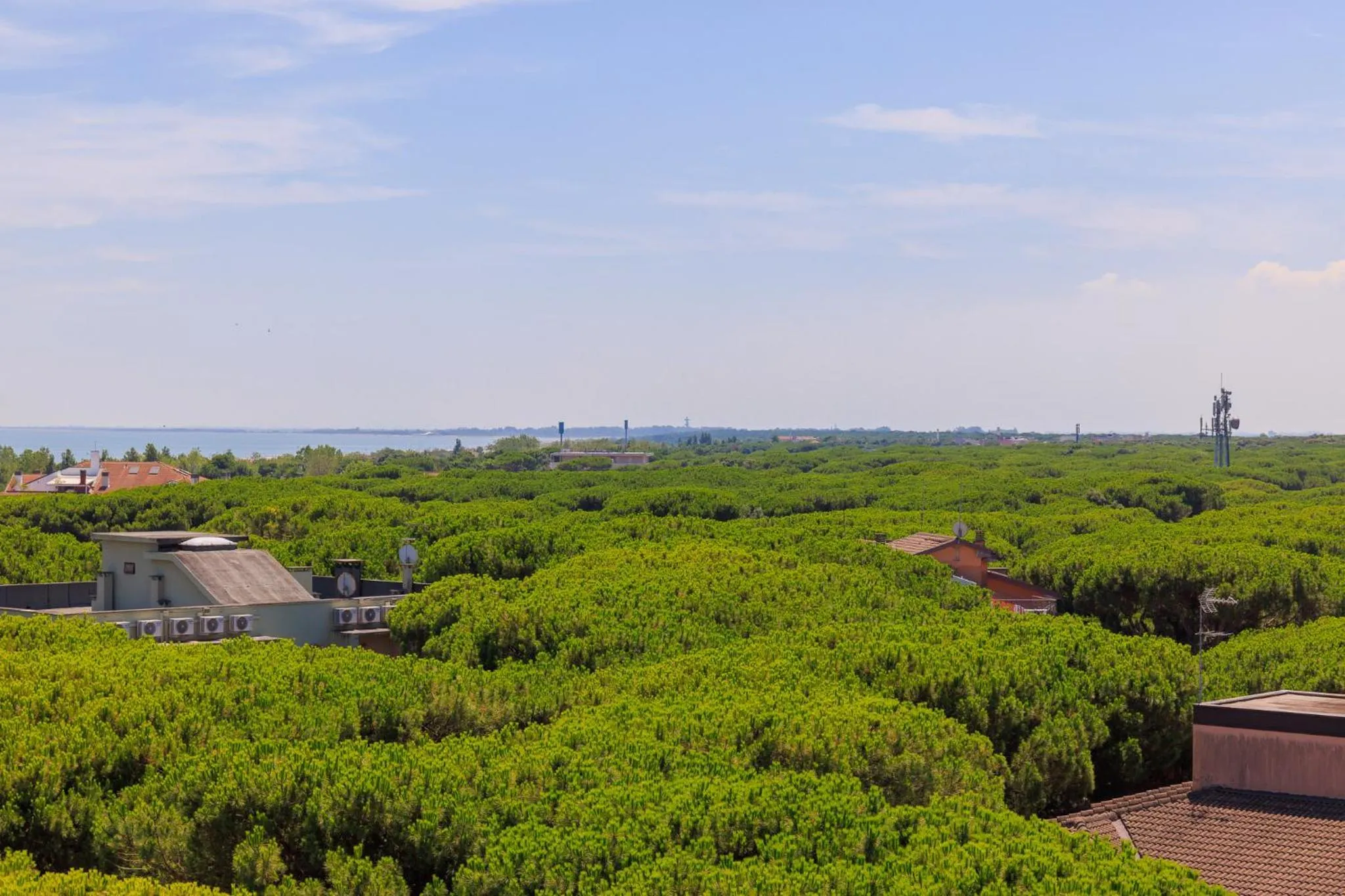 Natural landscape in Hotel Sole