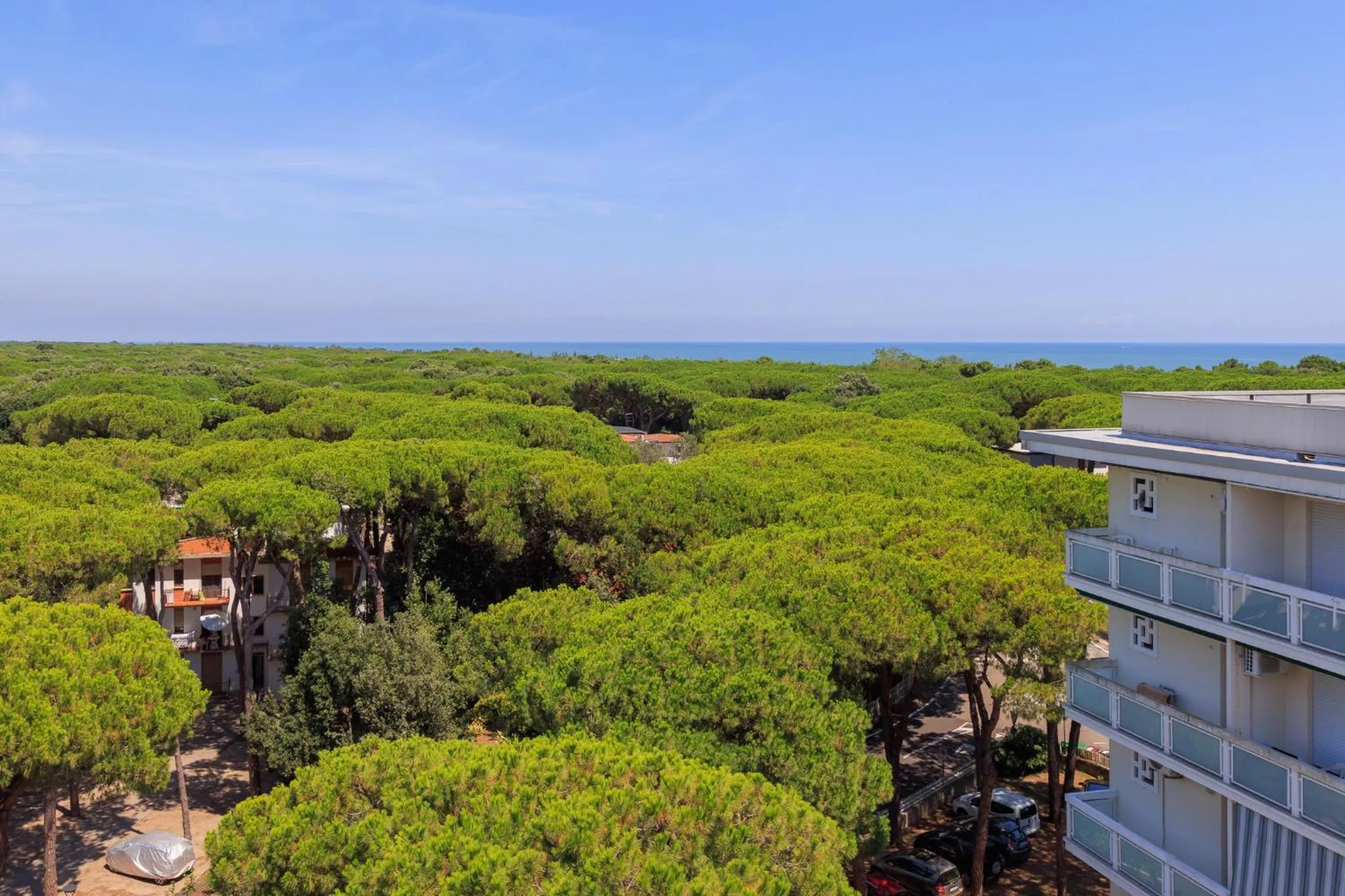 Natural landscape in Hotel Sole