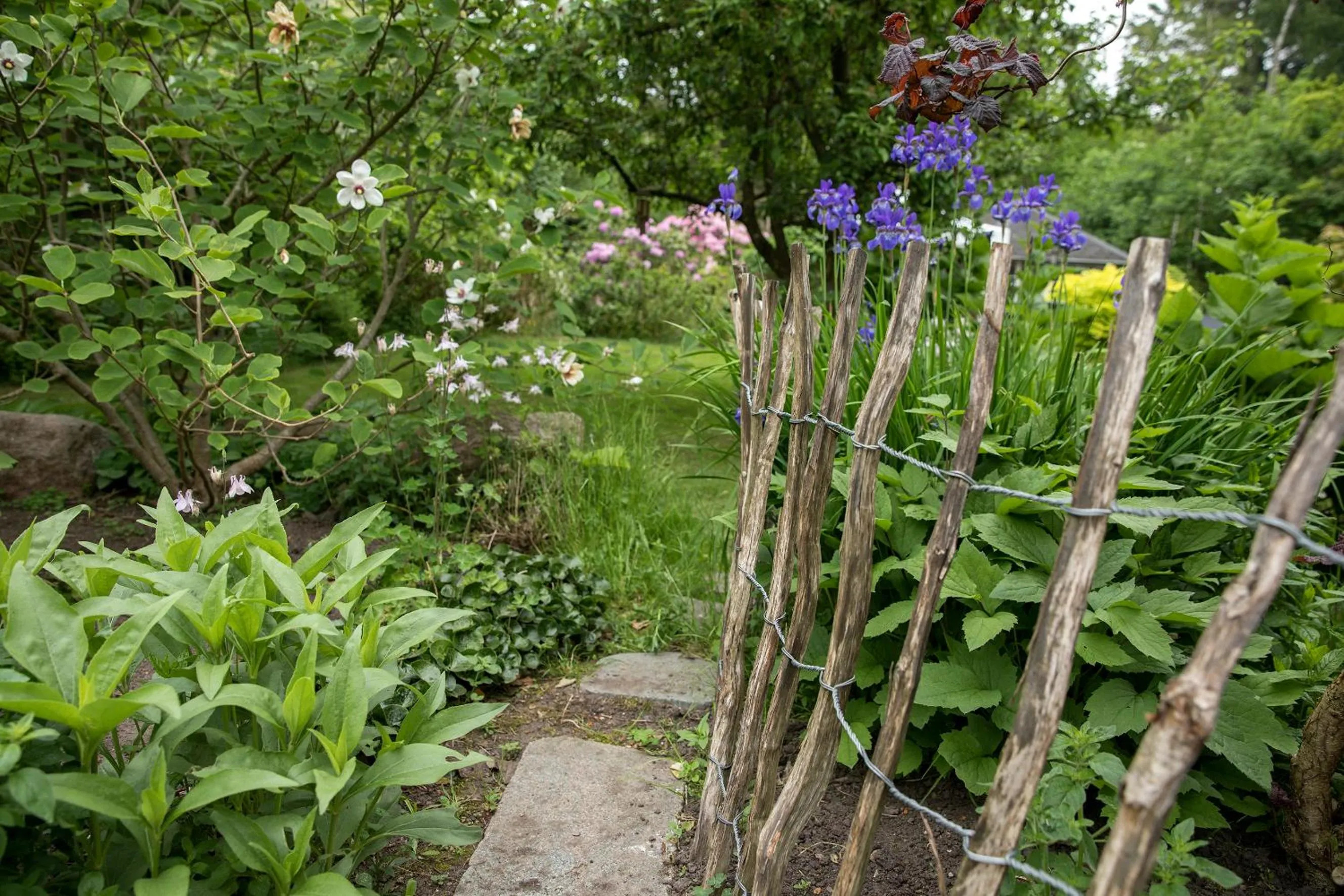 Other in Bed & Breakfast Horsens