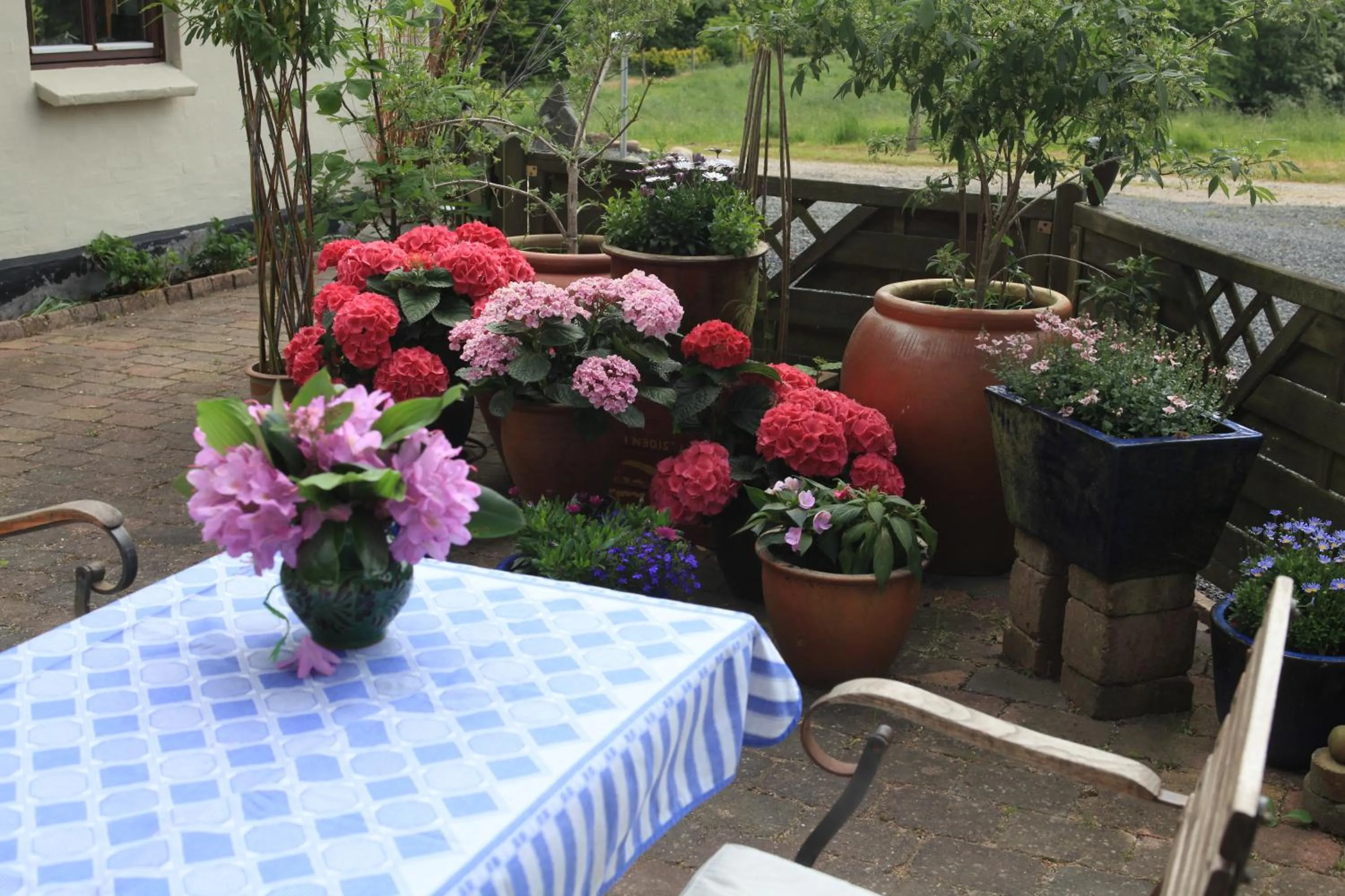 Balcony/Terrace in Bed & Breakfast Horsens