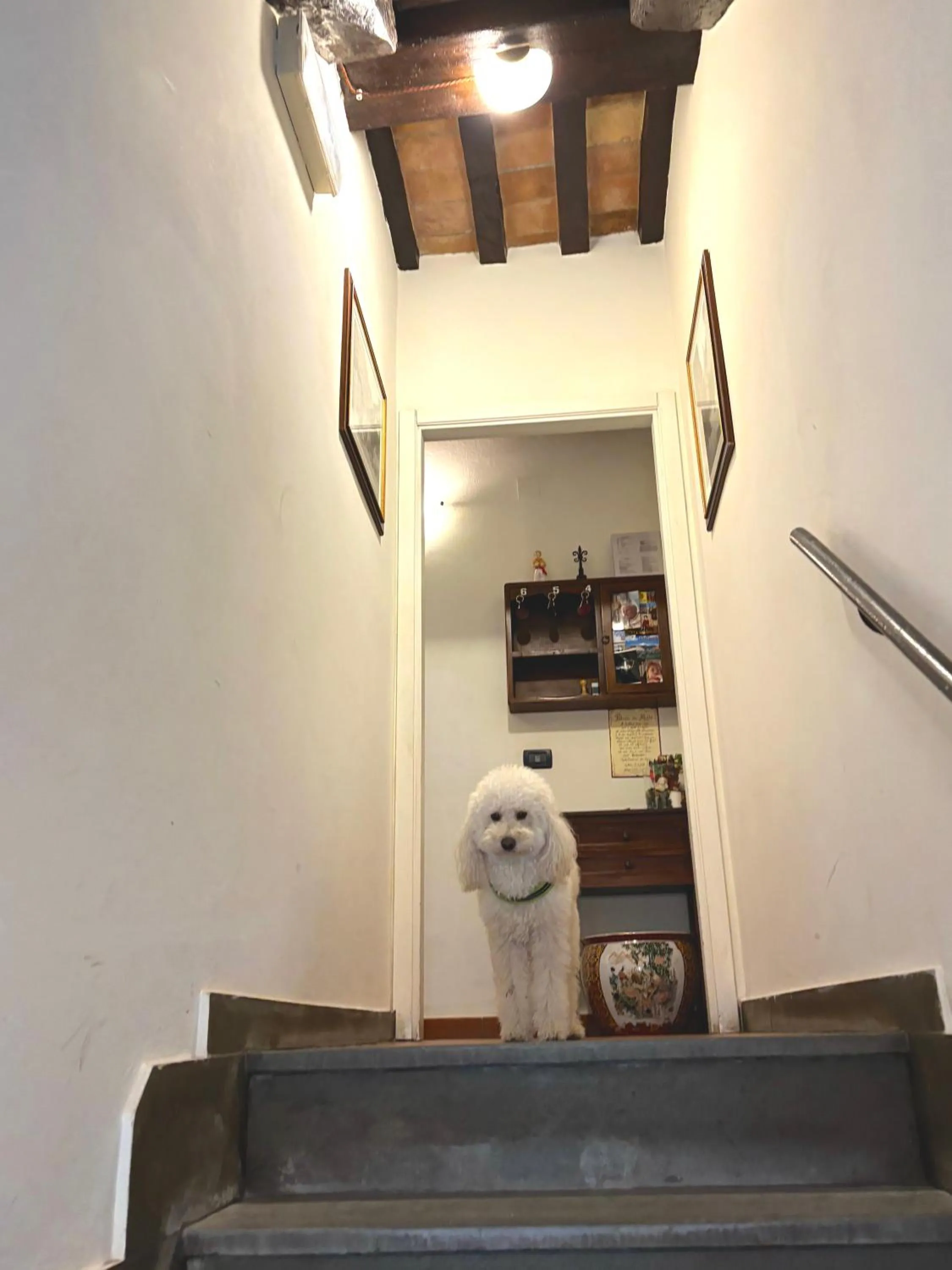 Residenza Le Logge