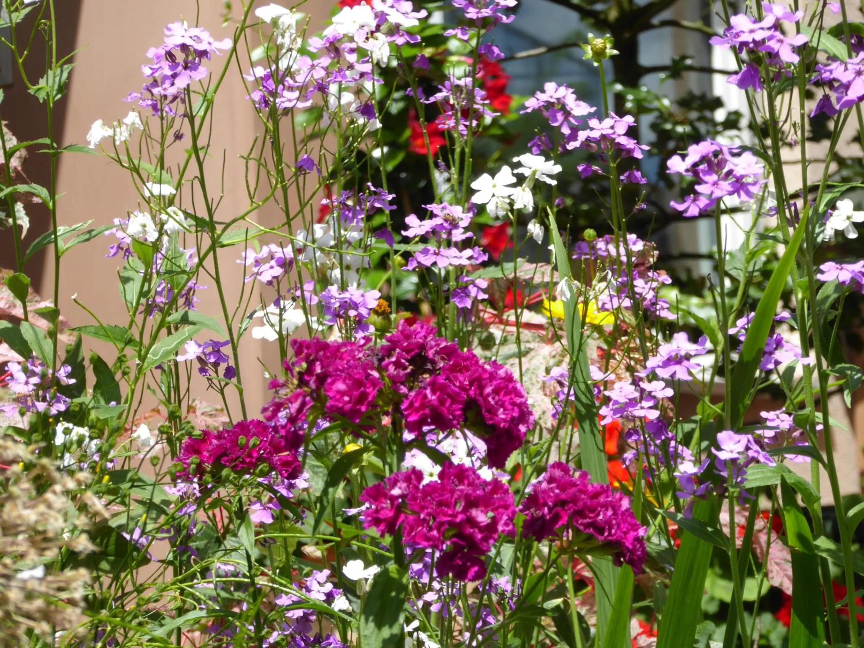 Garden in B&B Pappelweg - 2