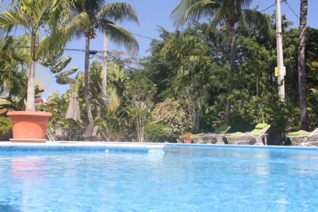 Swimming pool in Hotel Magic Tropical
