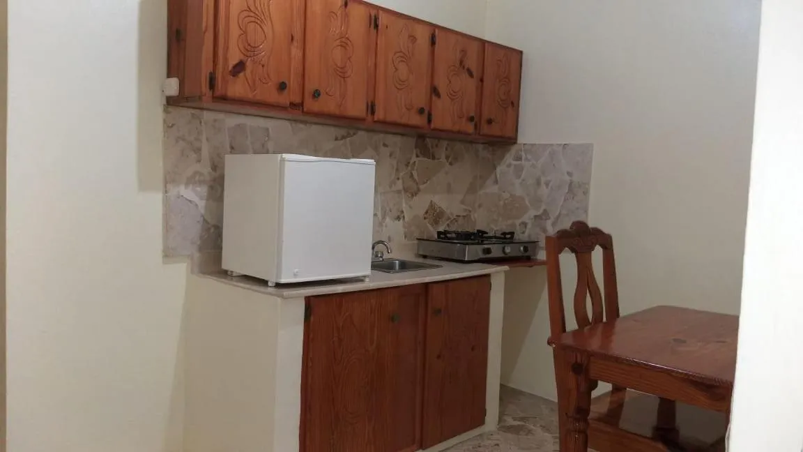 Kitchen or kitchenette in Hotel Magic Tropical