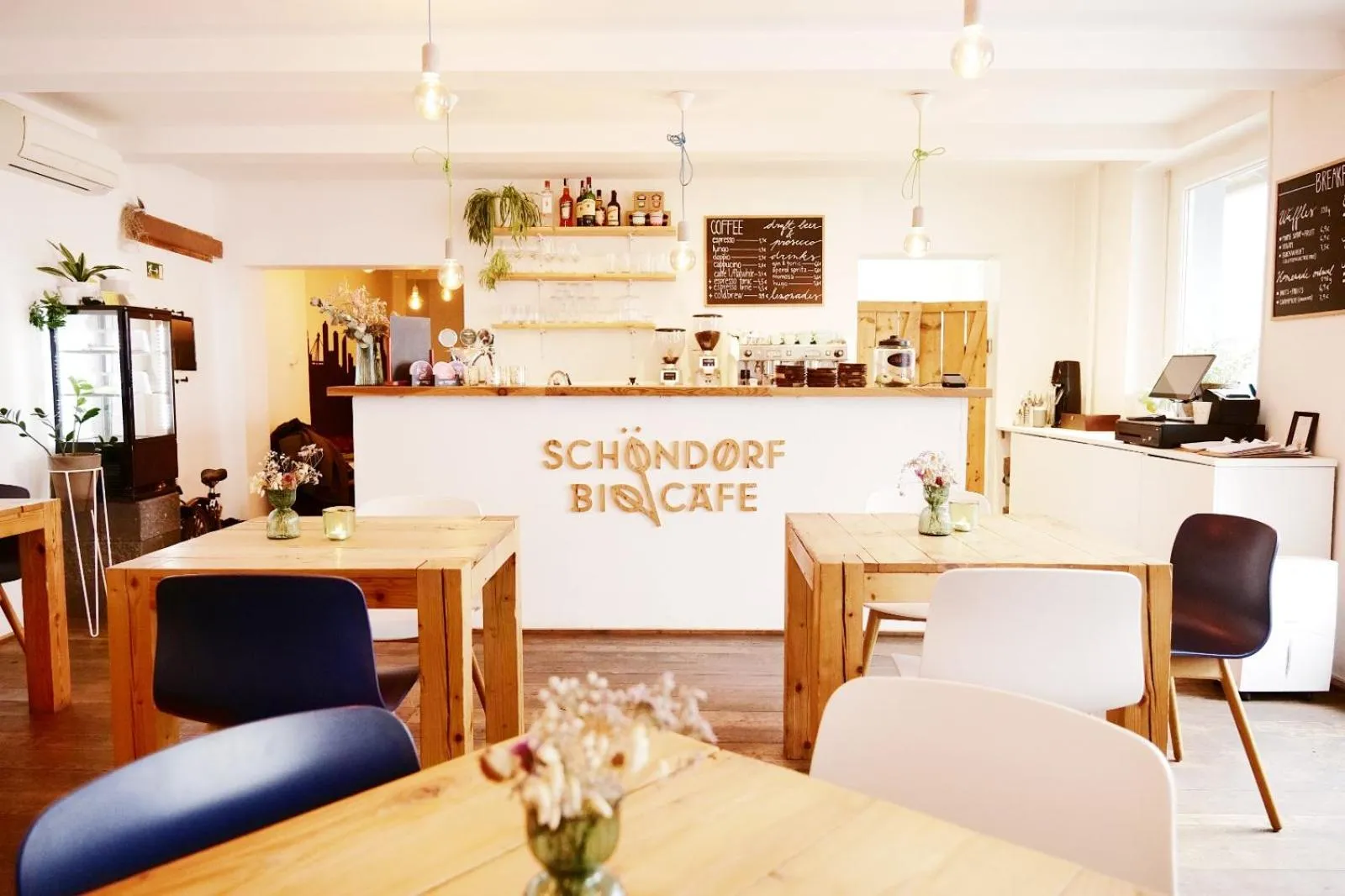 Lounge or bar in Schöndorf Hostel - virtual reception
