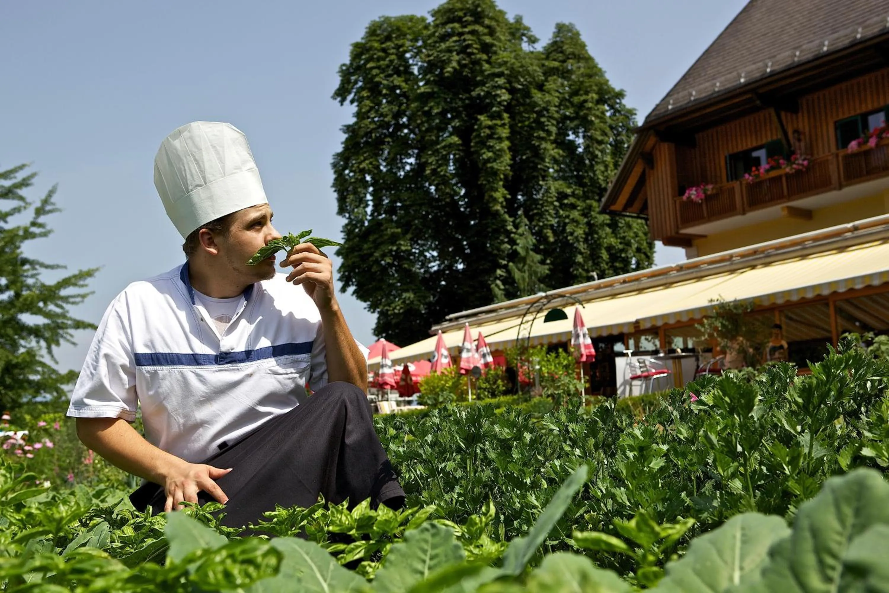 Garden in Hotel Zollner