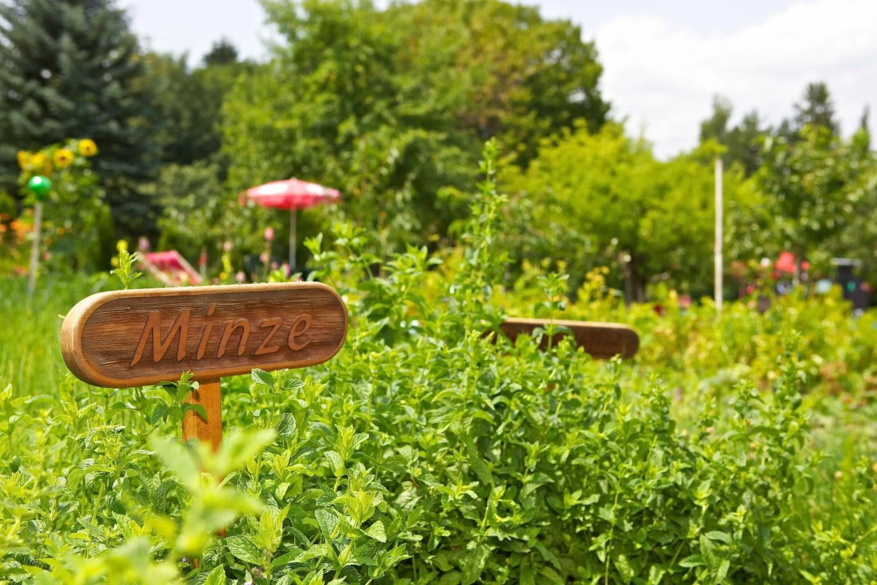 Garden in Hotel Zollner