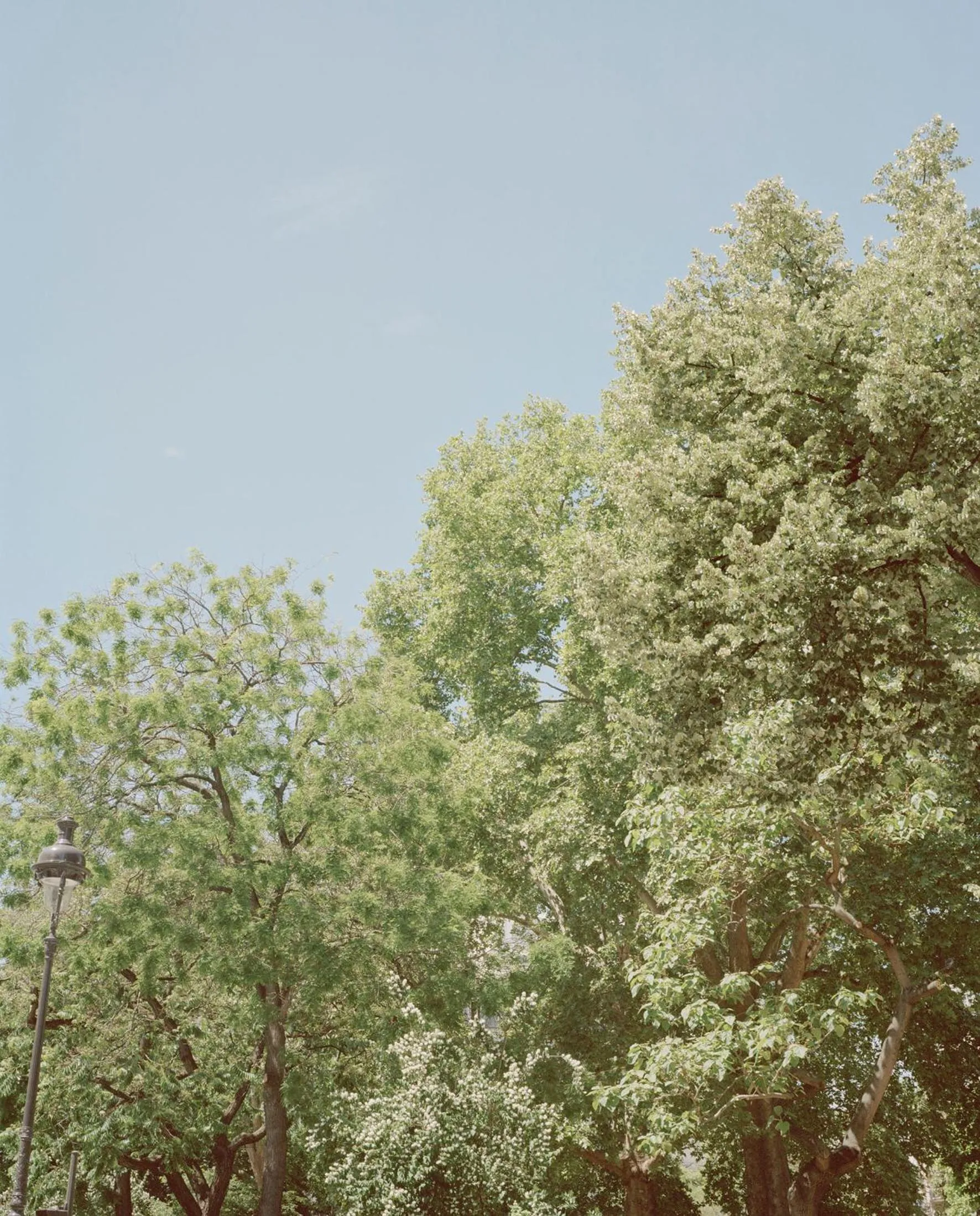 Other in Hôtel du Temps Paris