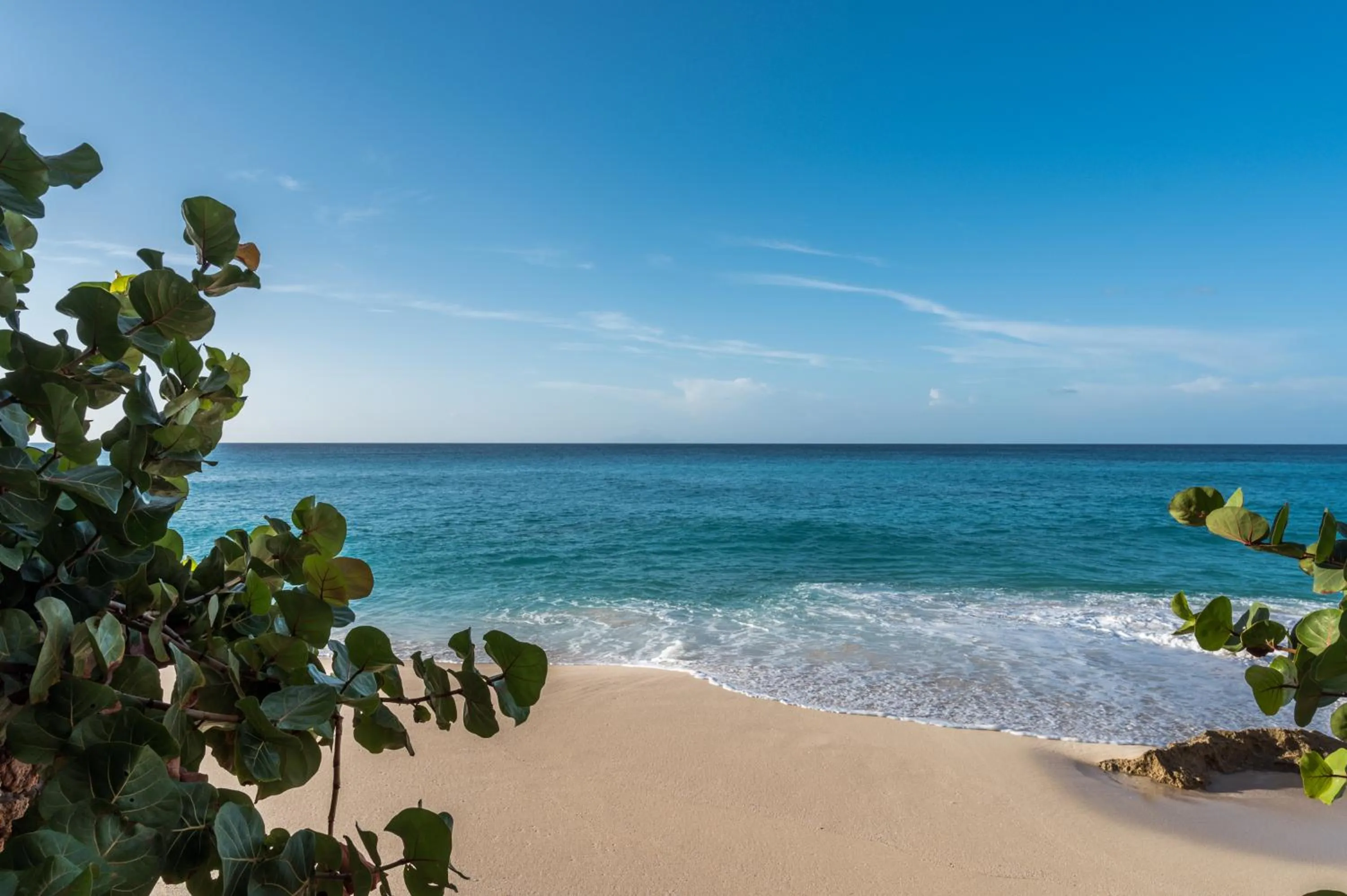 Beach in Sapphire Beach Club Resort
