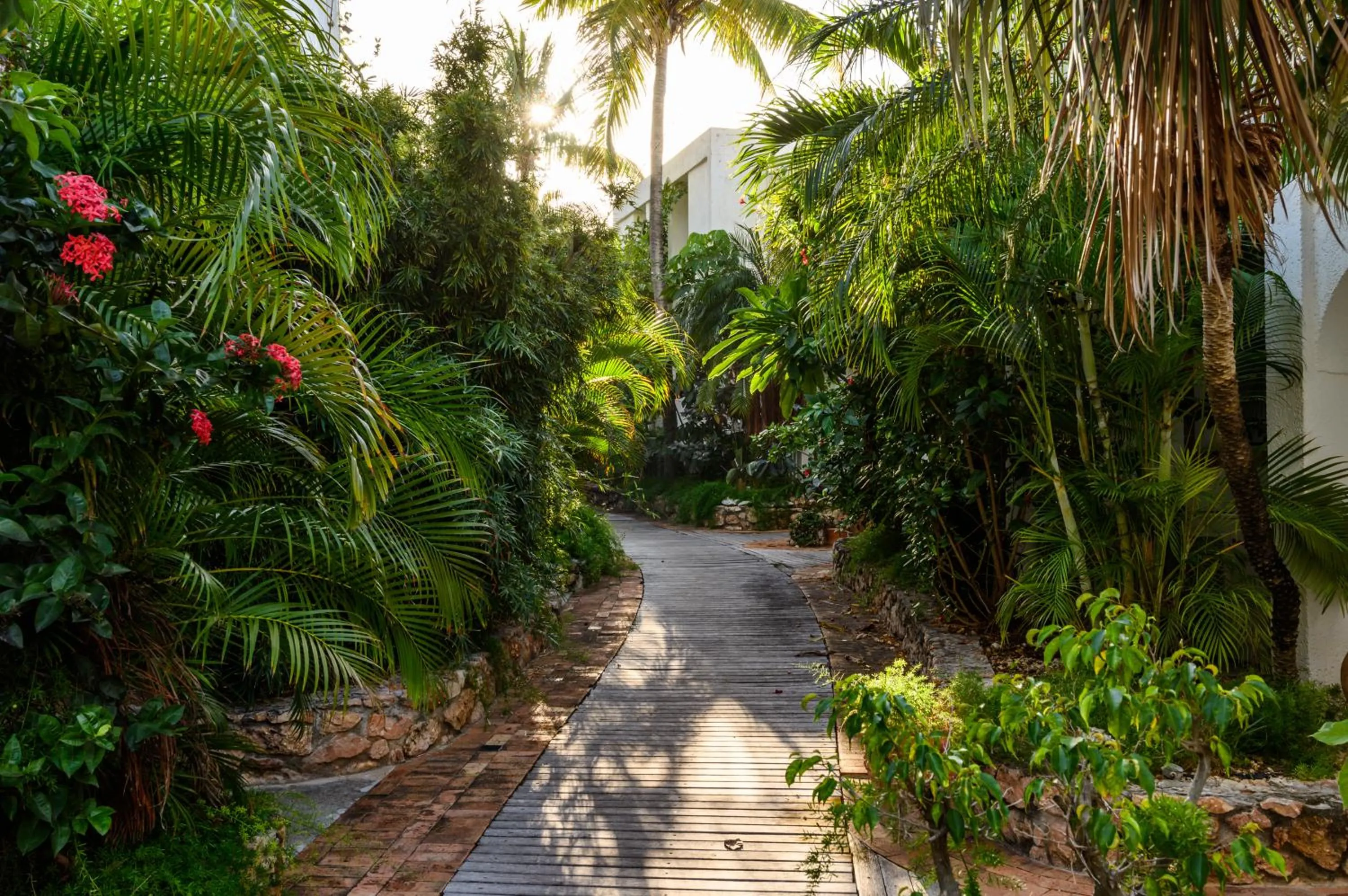 Garden in Sapphire Beach Club Resort