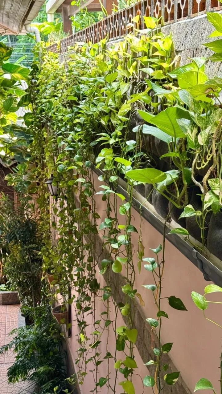 Property building in Pousada Pedra Rosa