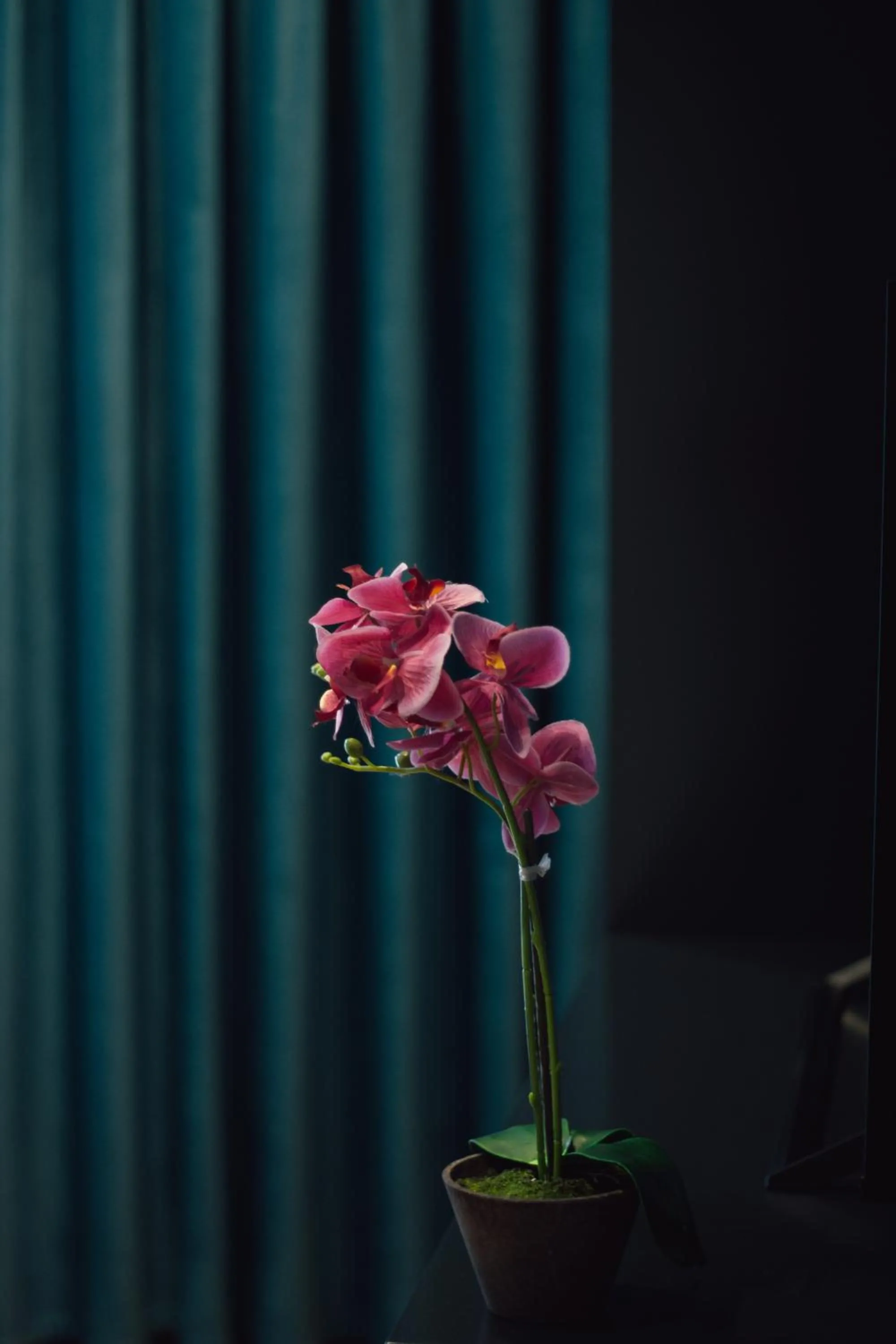Decorative detail in Brilant Luxury Apartment