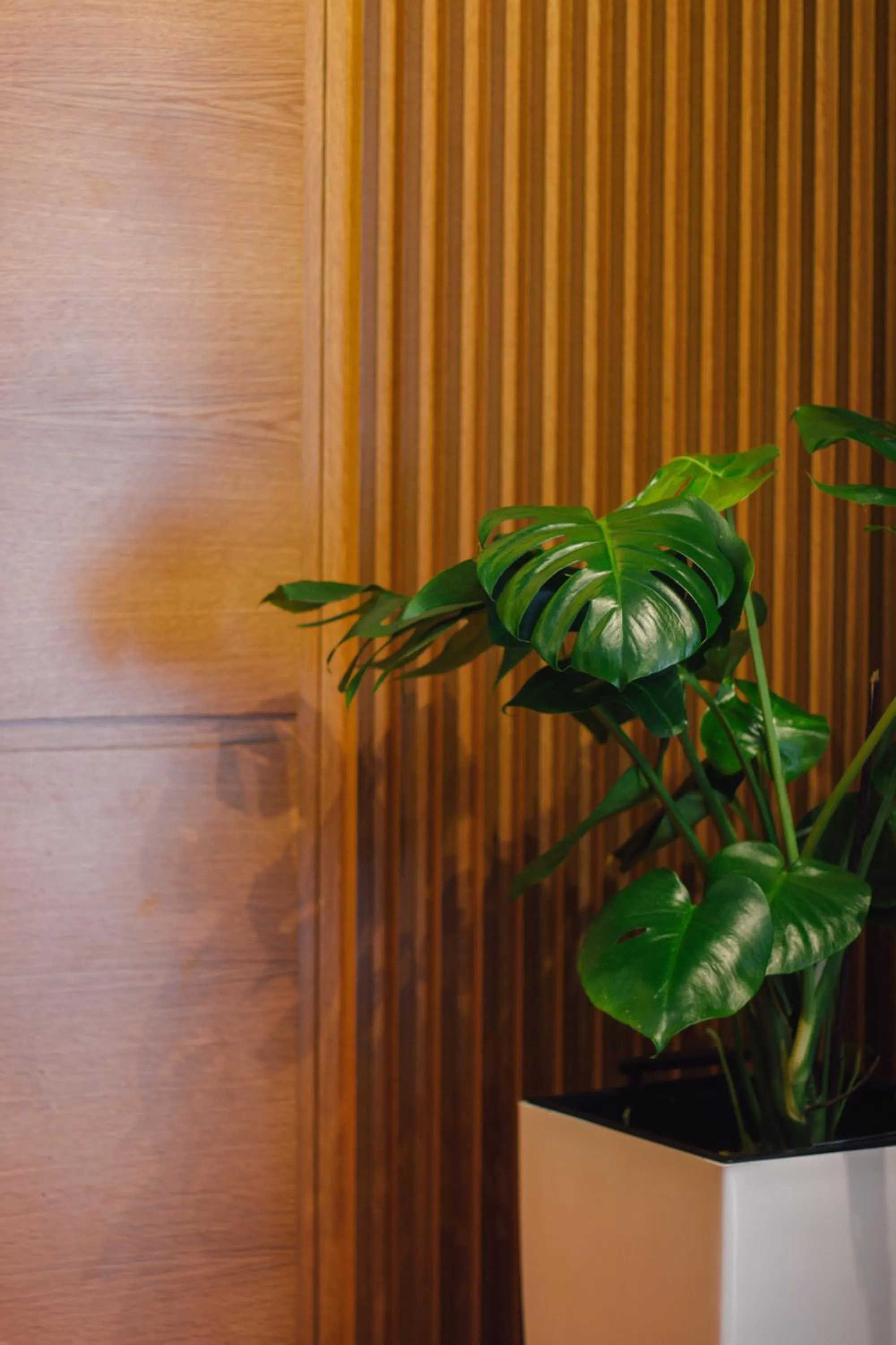 Decorative detail in Brilant Luxury Apartment