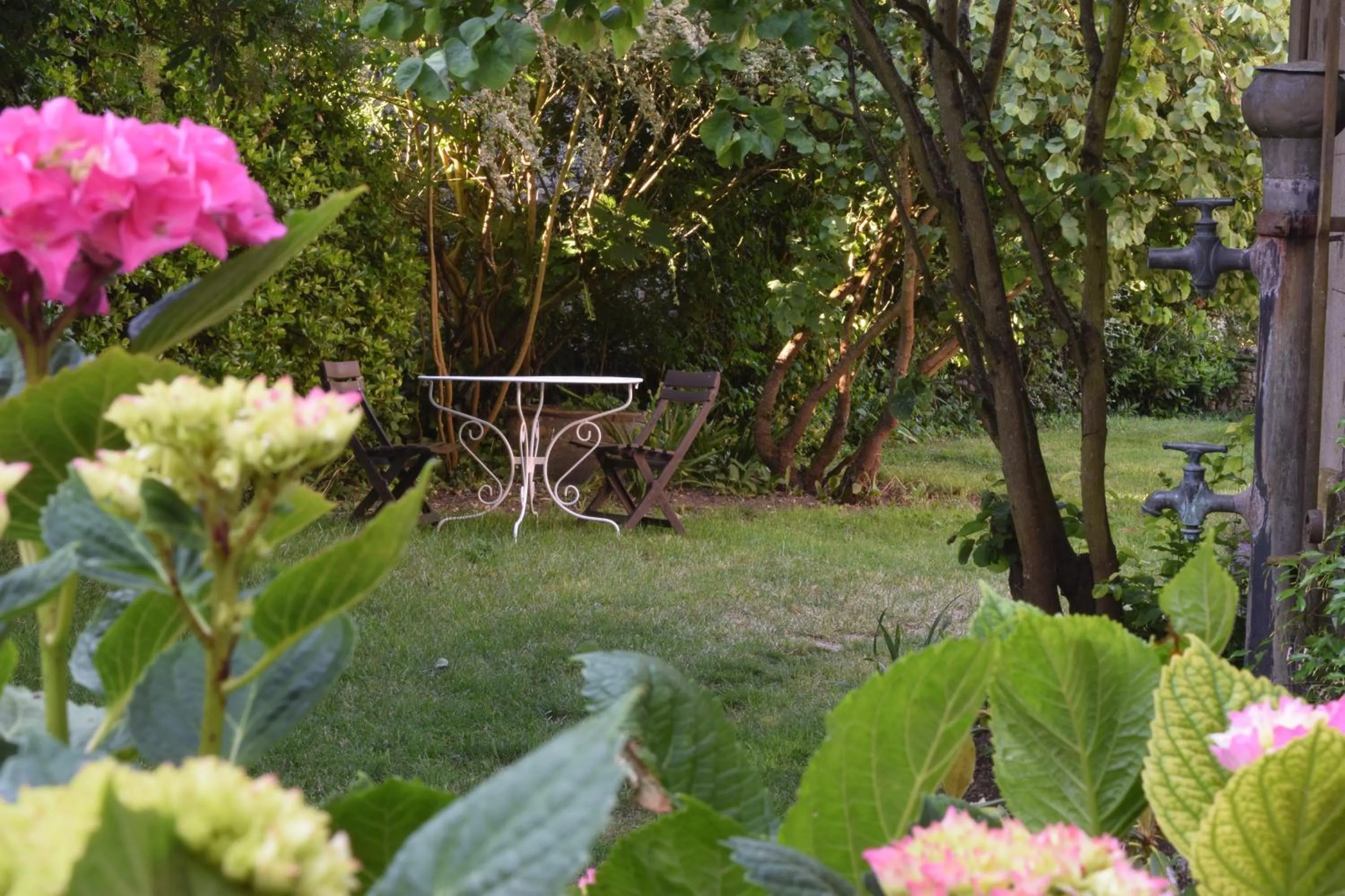 Garden in Chambres d'hôtes Coté Halles