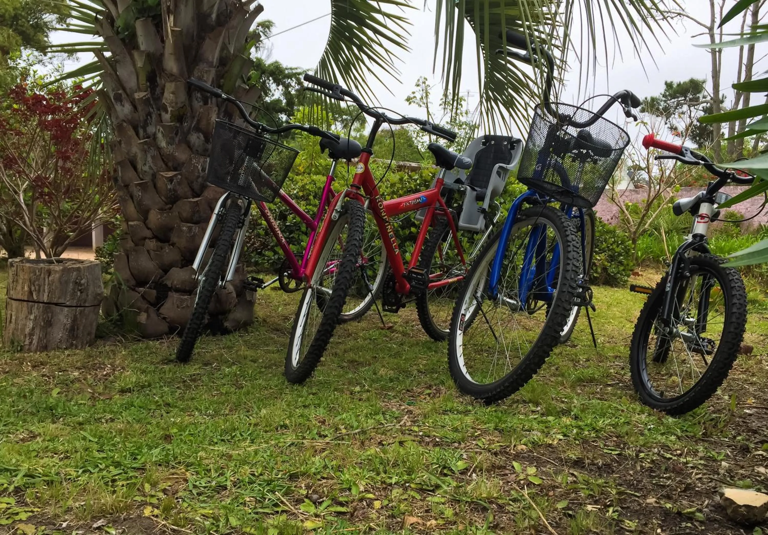 Off site in Hotel La Casona