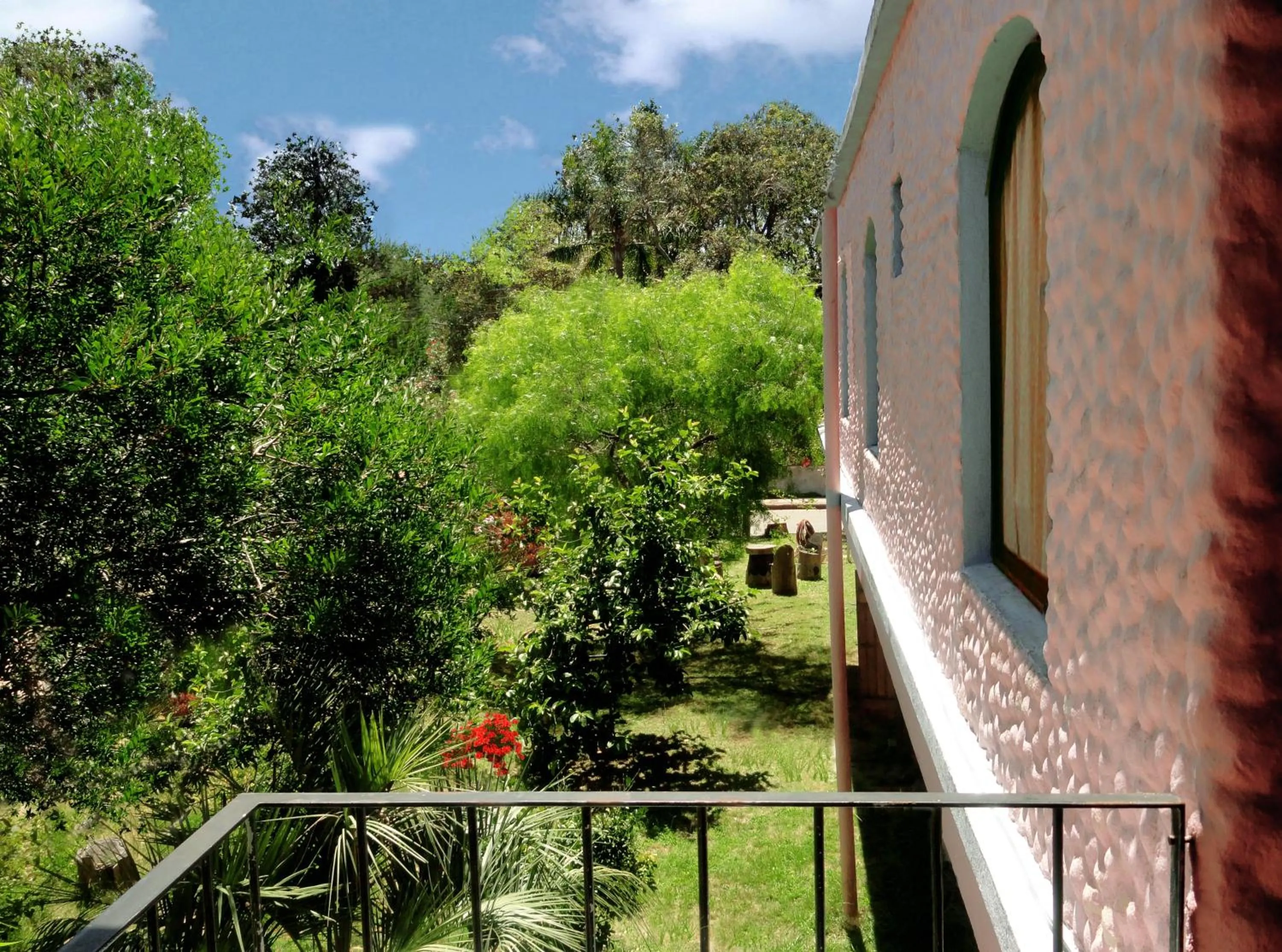 Garden in Hotel La Casona