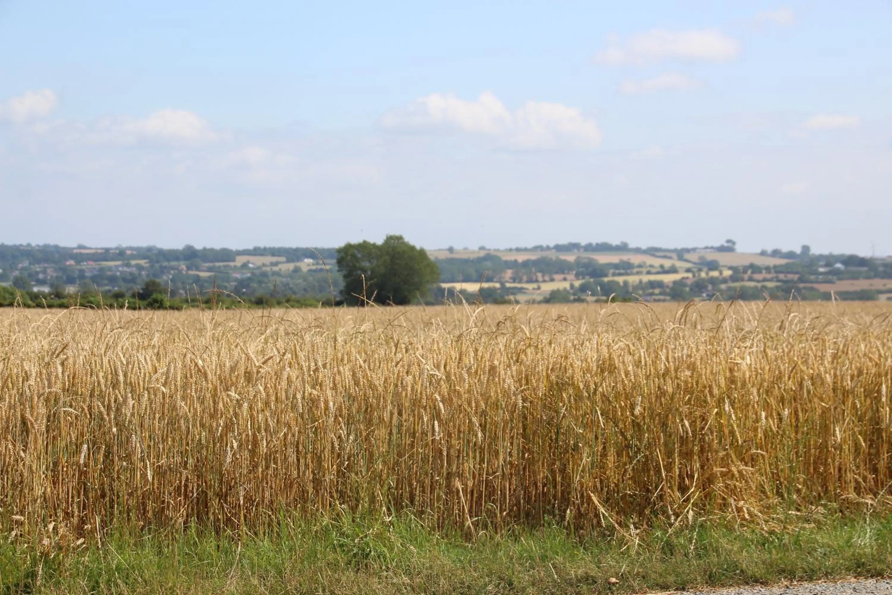 Natural landscape in Samsted
