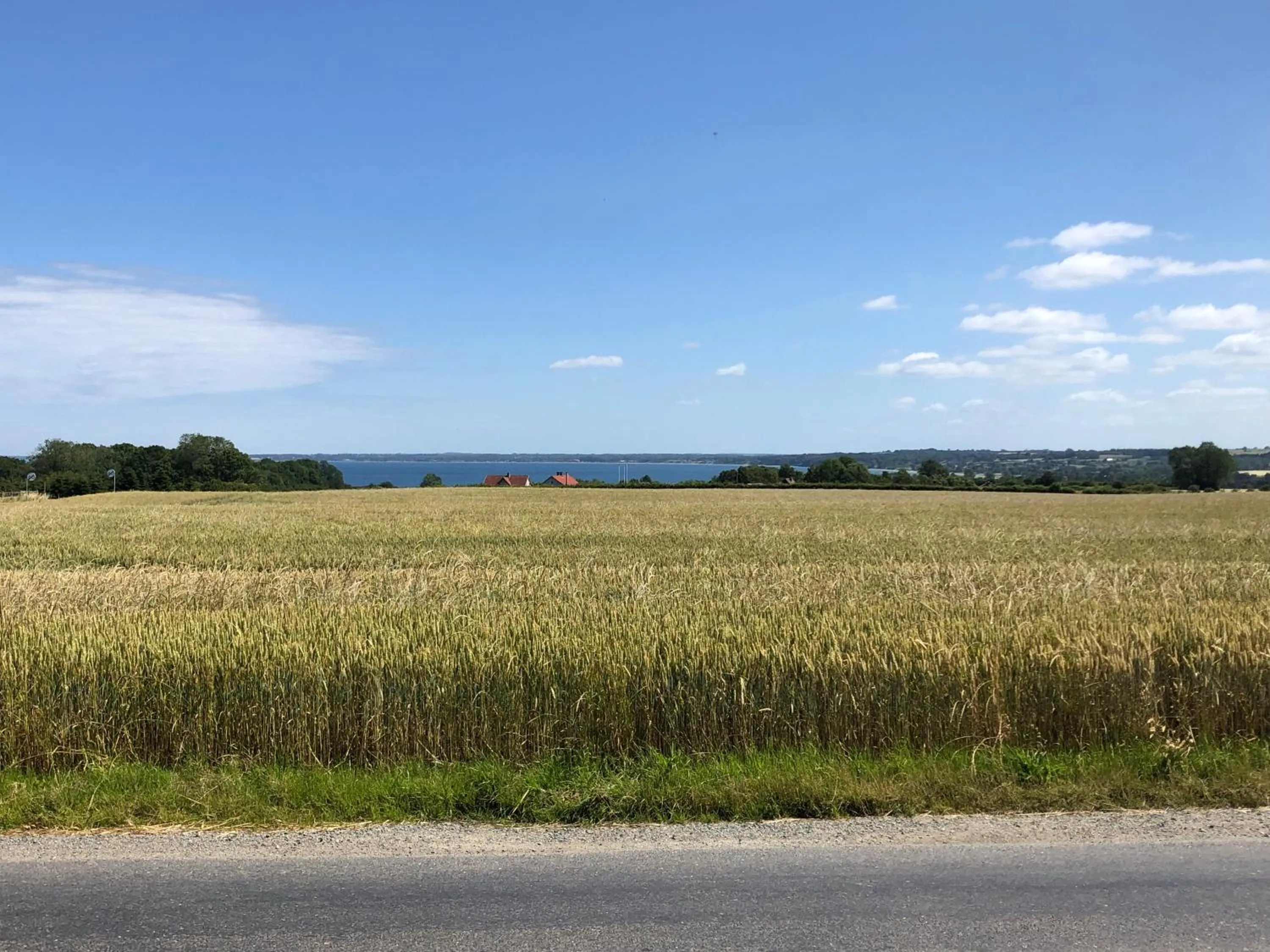 View (from property/room) in Samsted