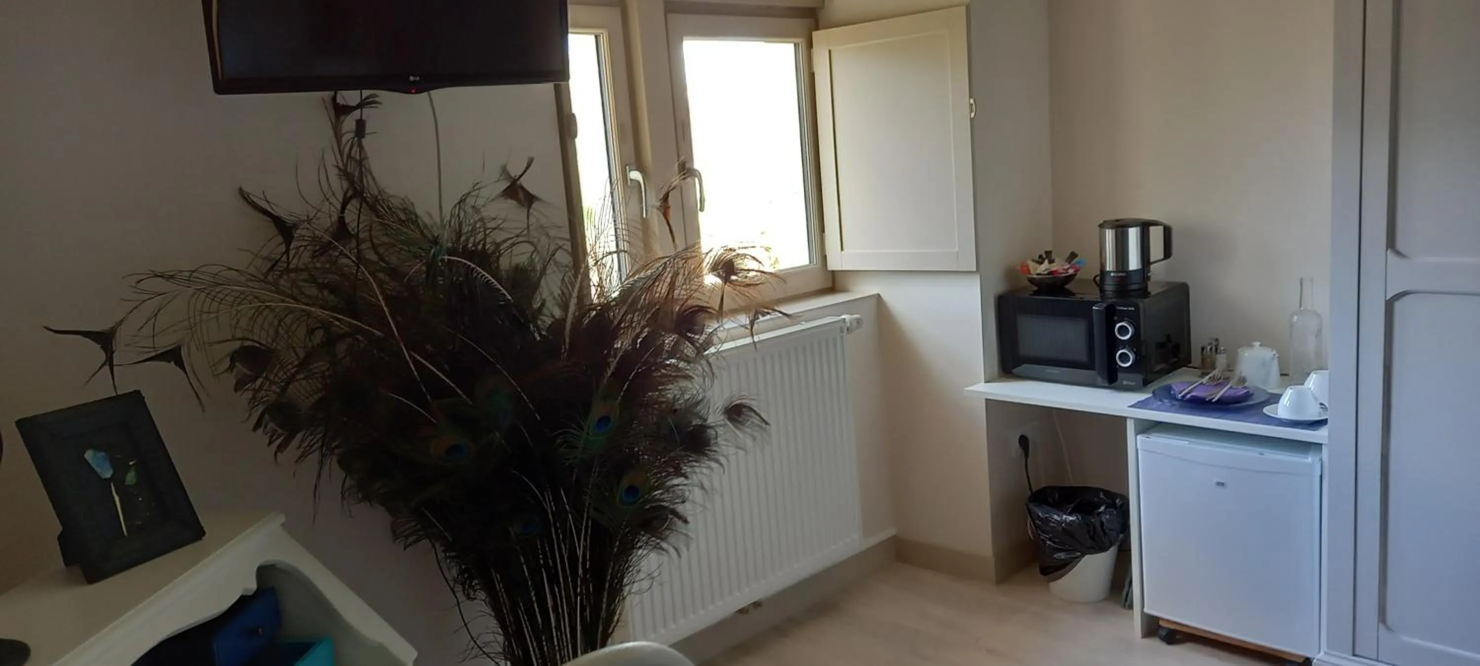 TV and multimedia in Aux penates de Toni Beauval