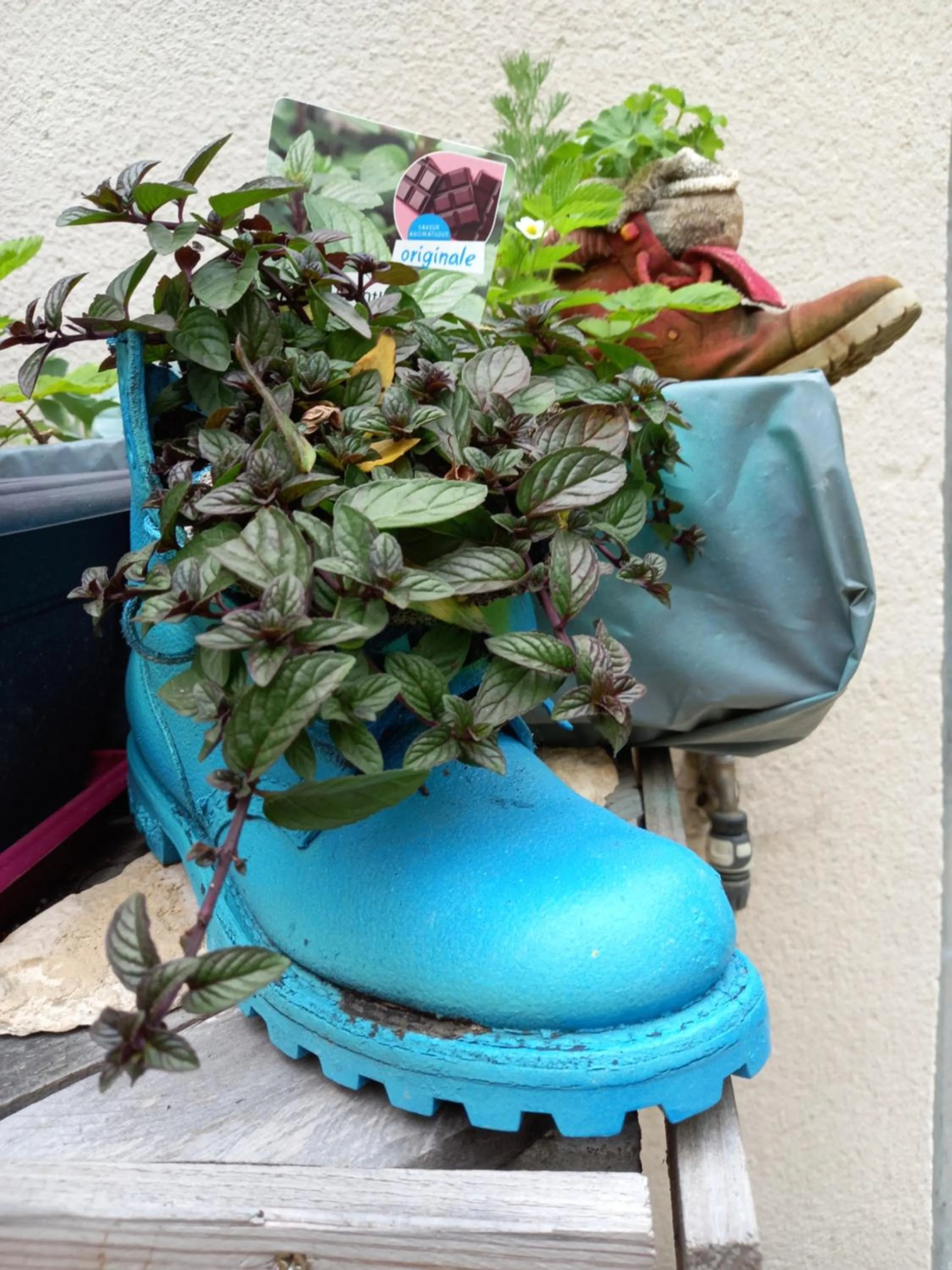 Garden in Aux penates de Toni Beauval