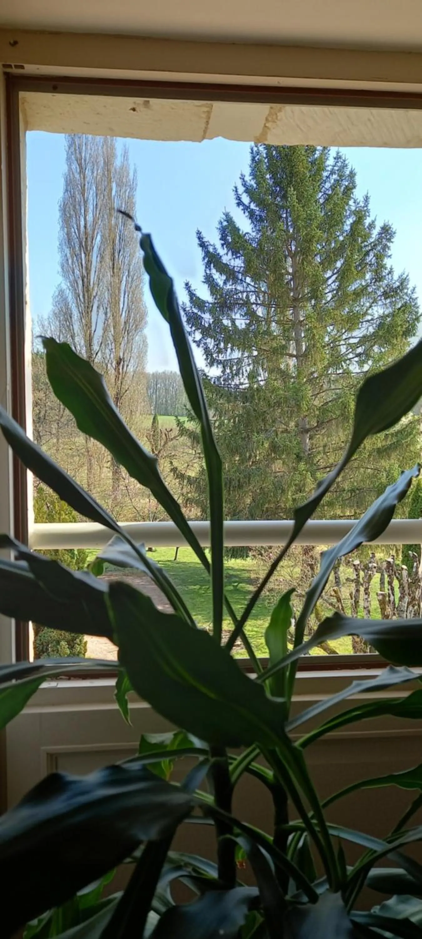 Garden view in Aux penates de Toni Beauval