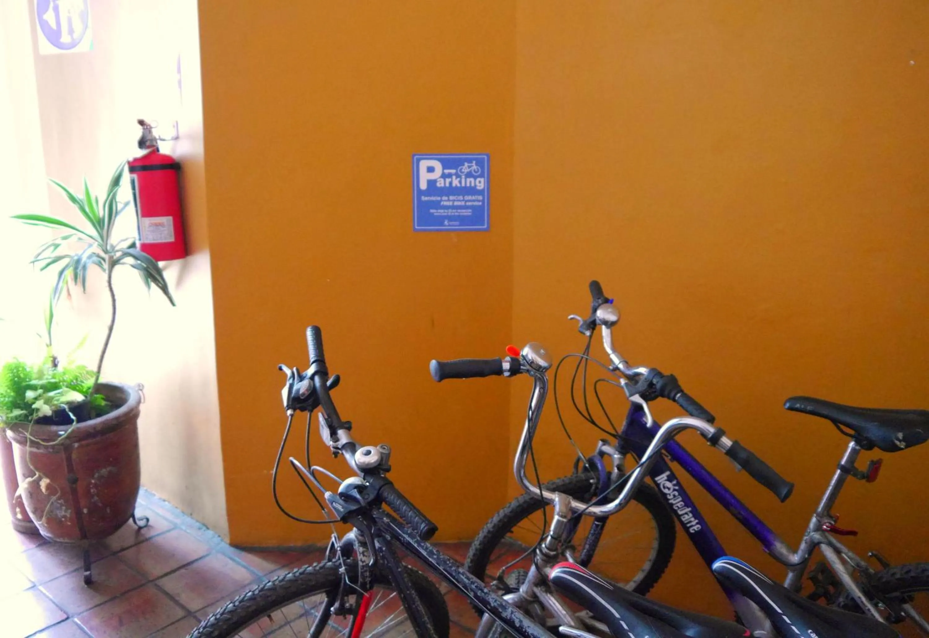 Activities in Hostel Hospedarte Centro